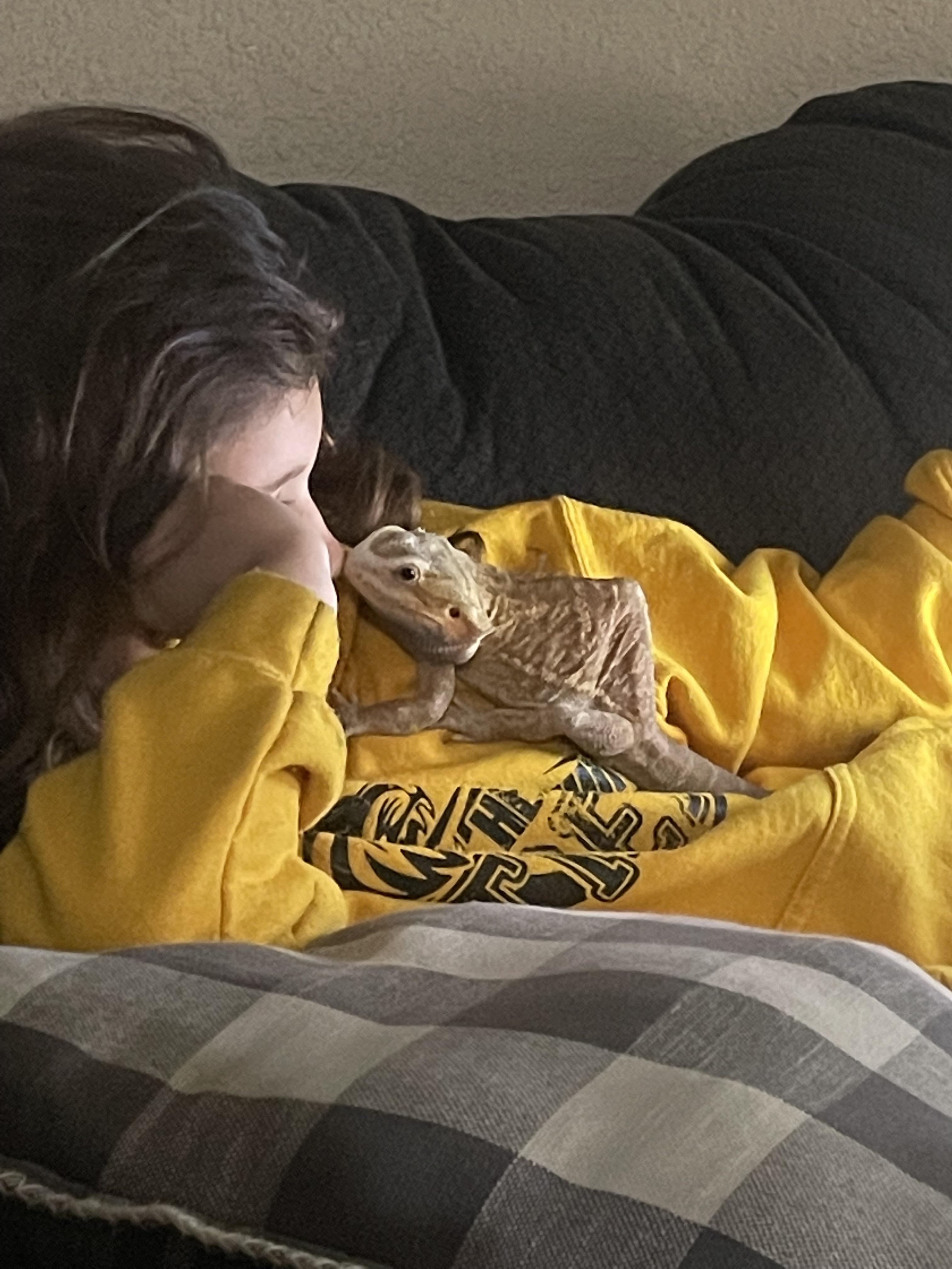 Anyone seen a beerdy with this style hump on his back. We adopted him