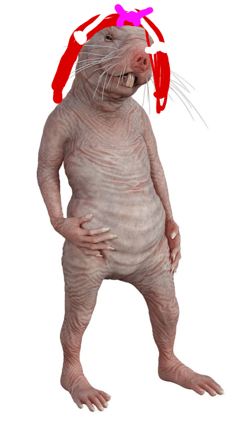 🔞Se filtran fotos de zeling desnuda se ruega discreción 🔞 : Zelinga