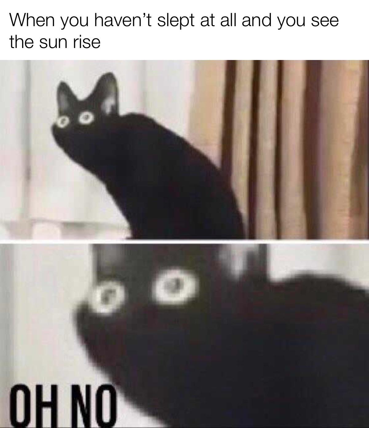 My current situation r/memes