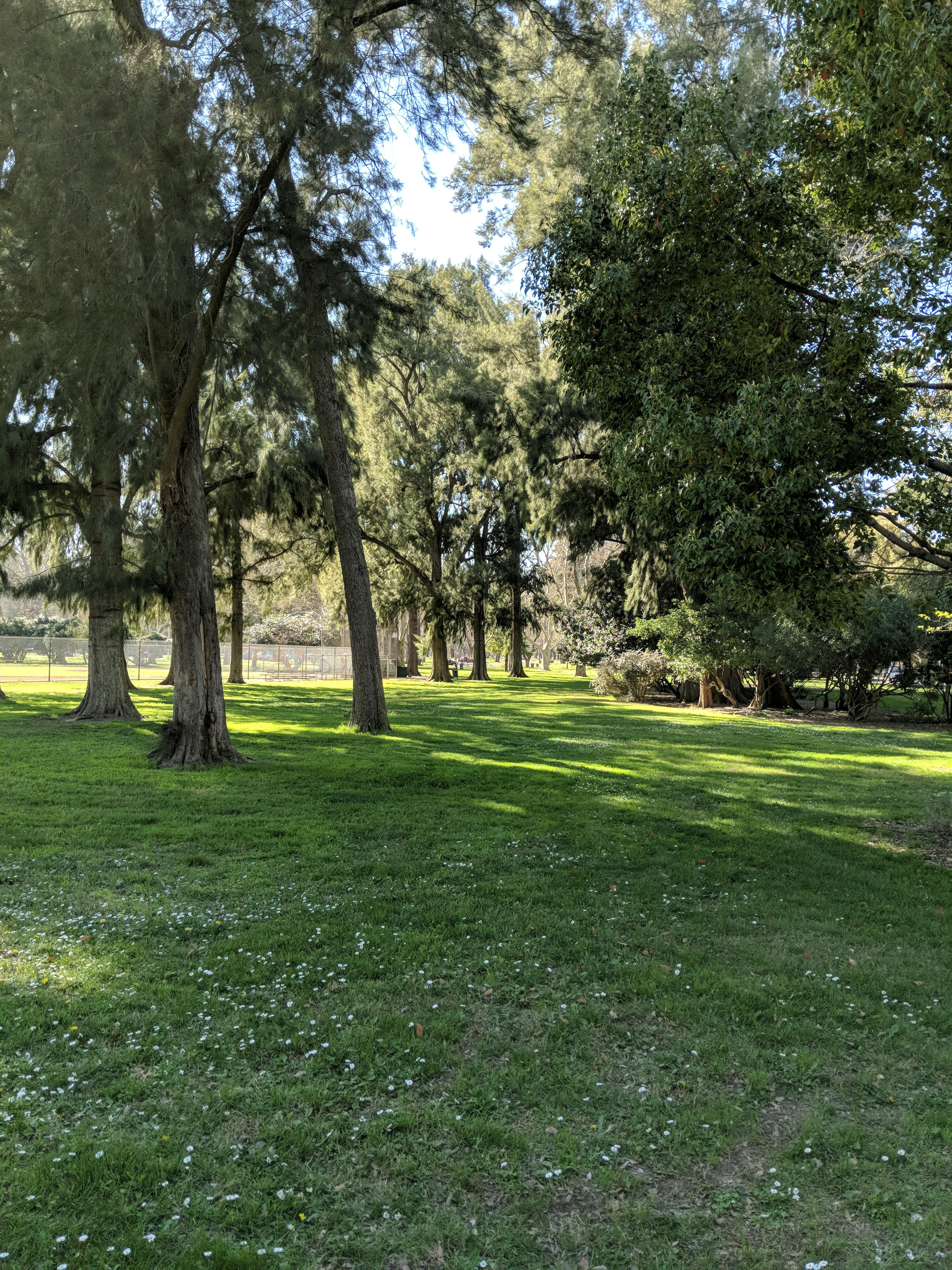 William Land Park in March! My favorite park in the whole world! r