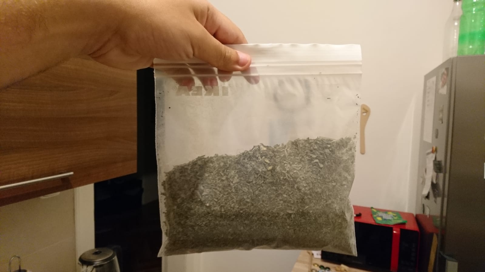 Let me pack this dry mint to bring on a plane overseas. WCGW? r
