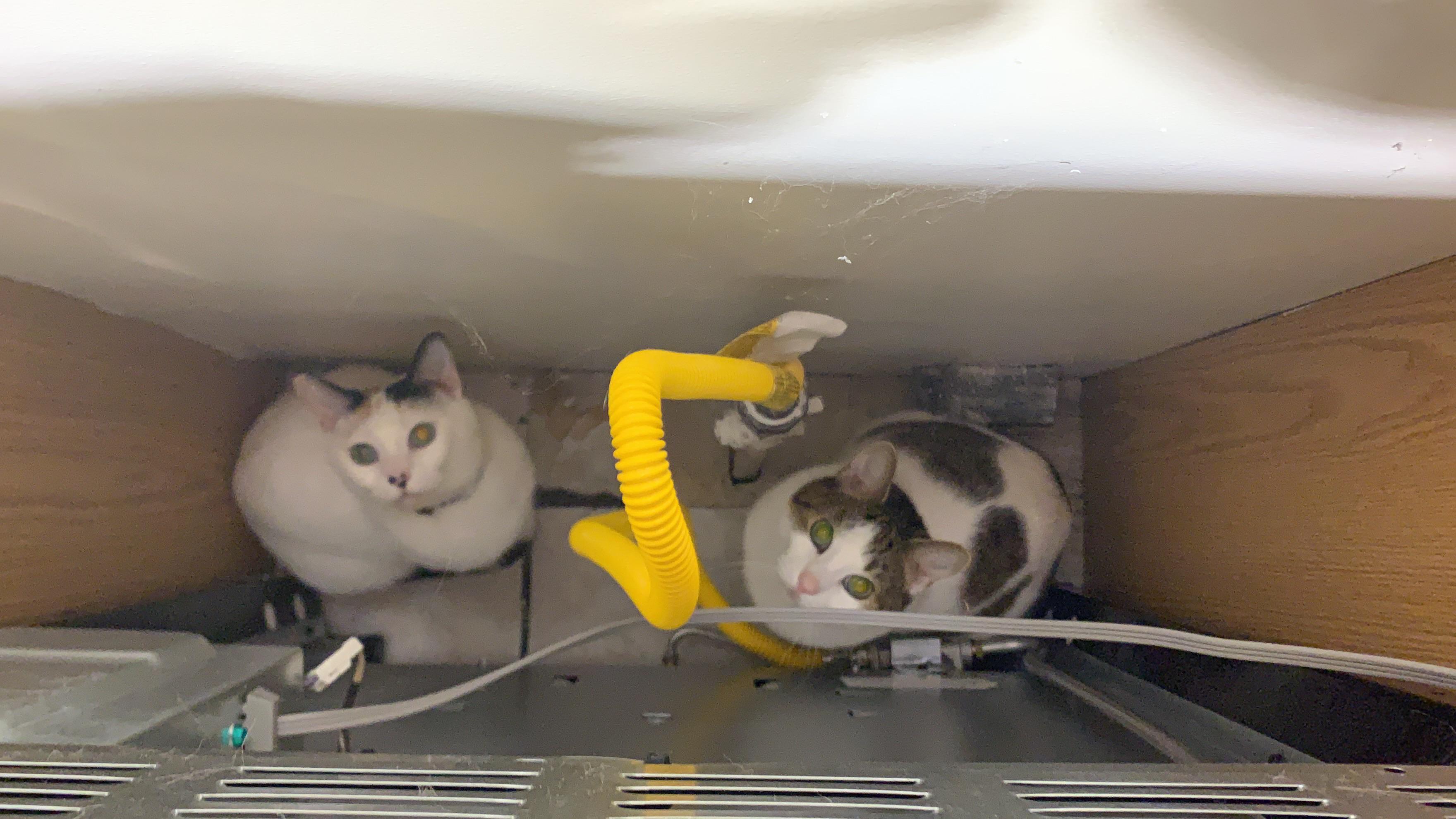 I pulled my stove away from the wall to fix the outlet behind it. I left the room for 2 minutes