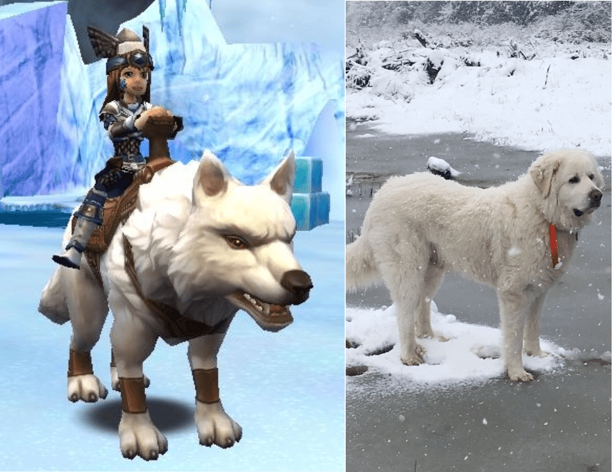 My real life wolf of the winter mount r/Wizard101