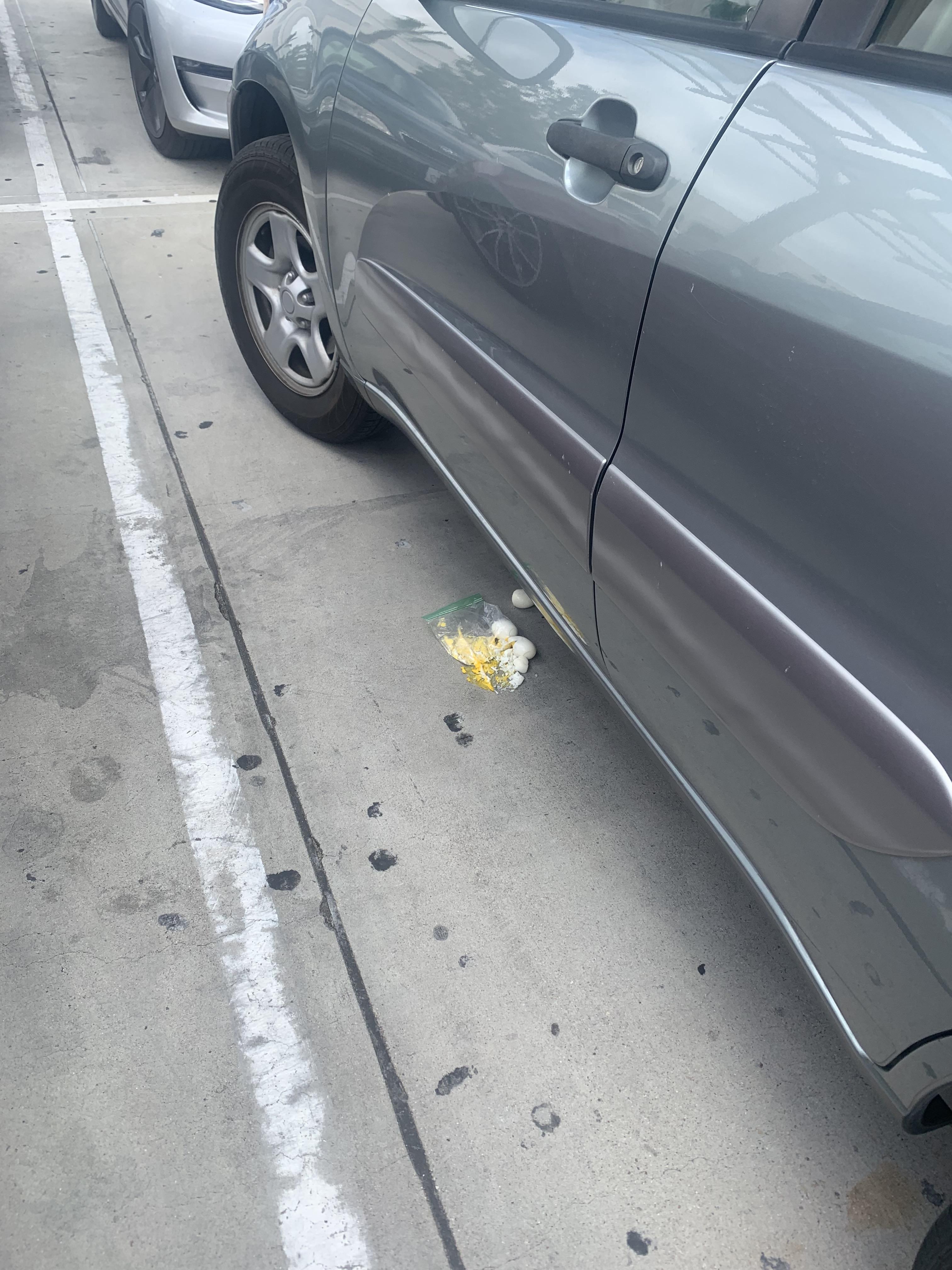 I found some eggs underneath a car in a parking lot : r/EggsInStrangePlaces