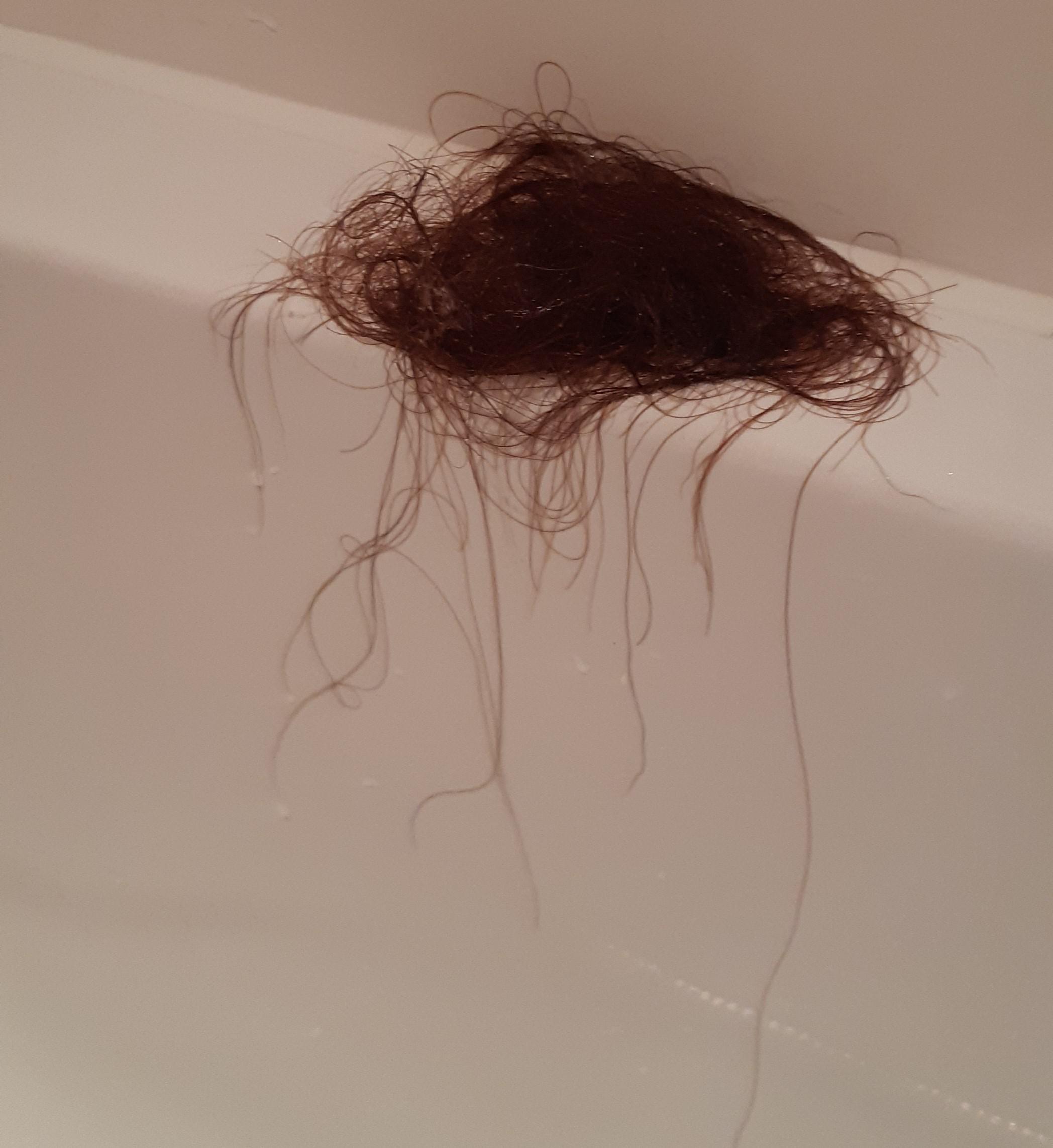 Definitely losing more than 5 hairs in the shower r/FemaleHairLoss