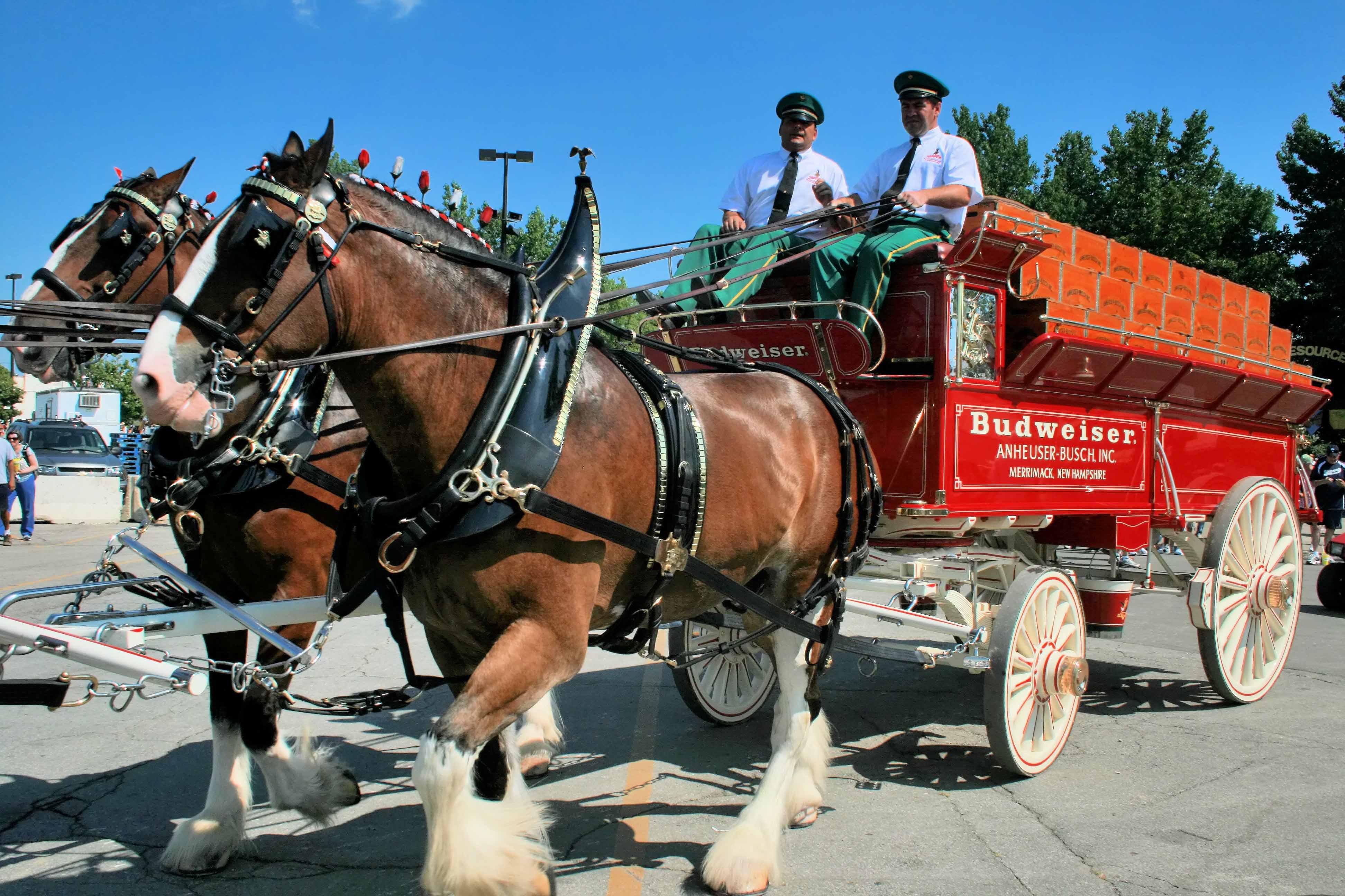 Budweiser Clydesdales Wagon