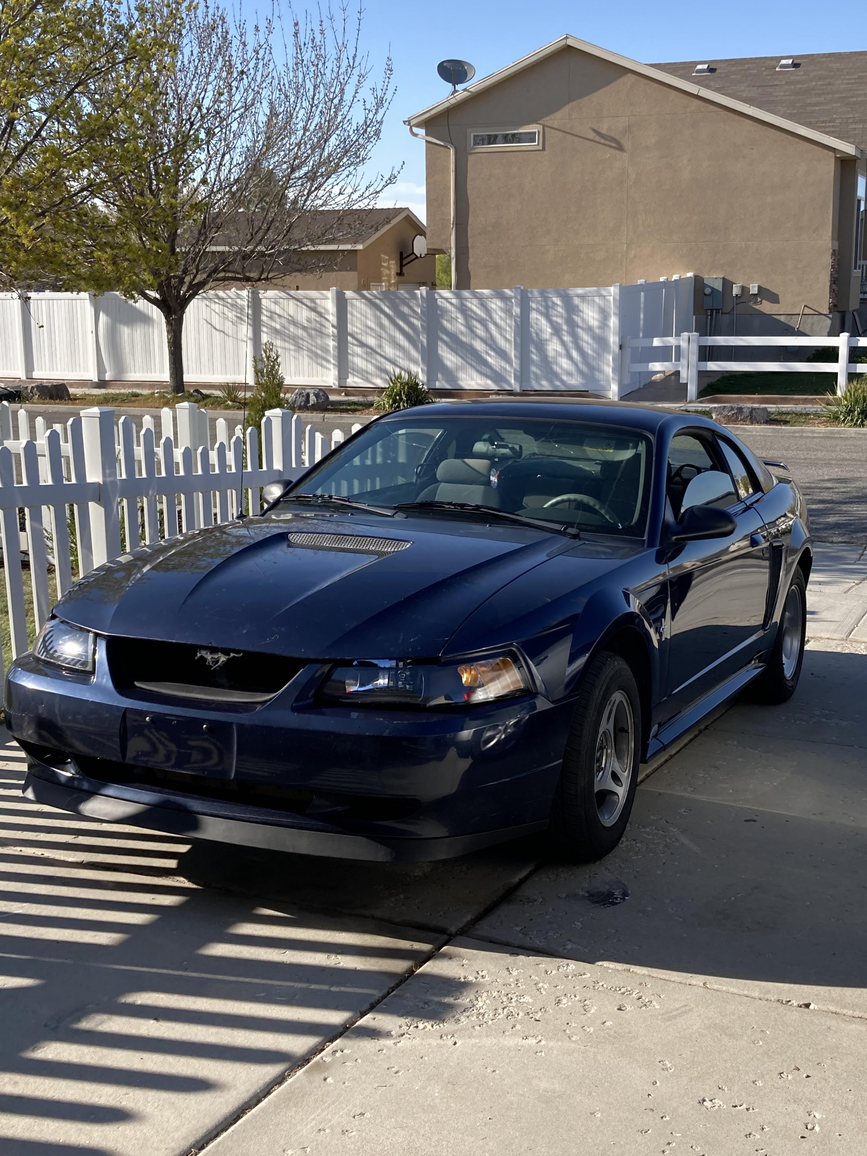 01 Mustang v6 that also happens to be my first car. Very excited! : r