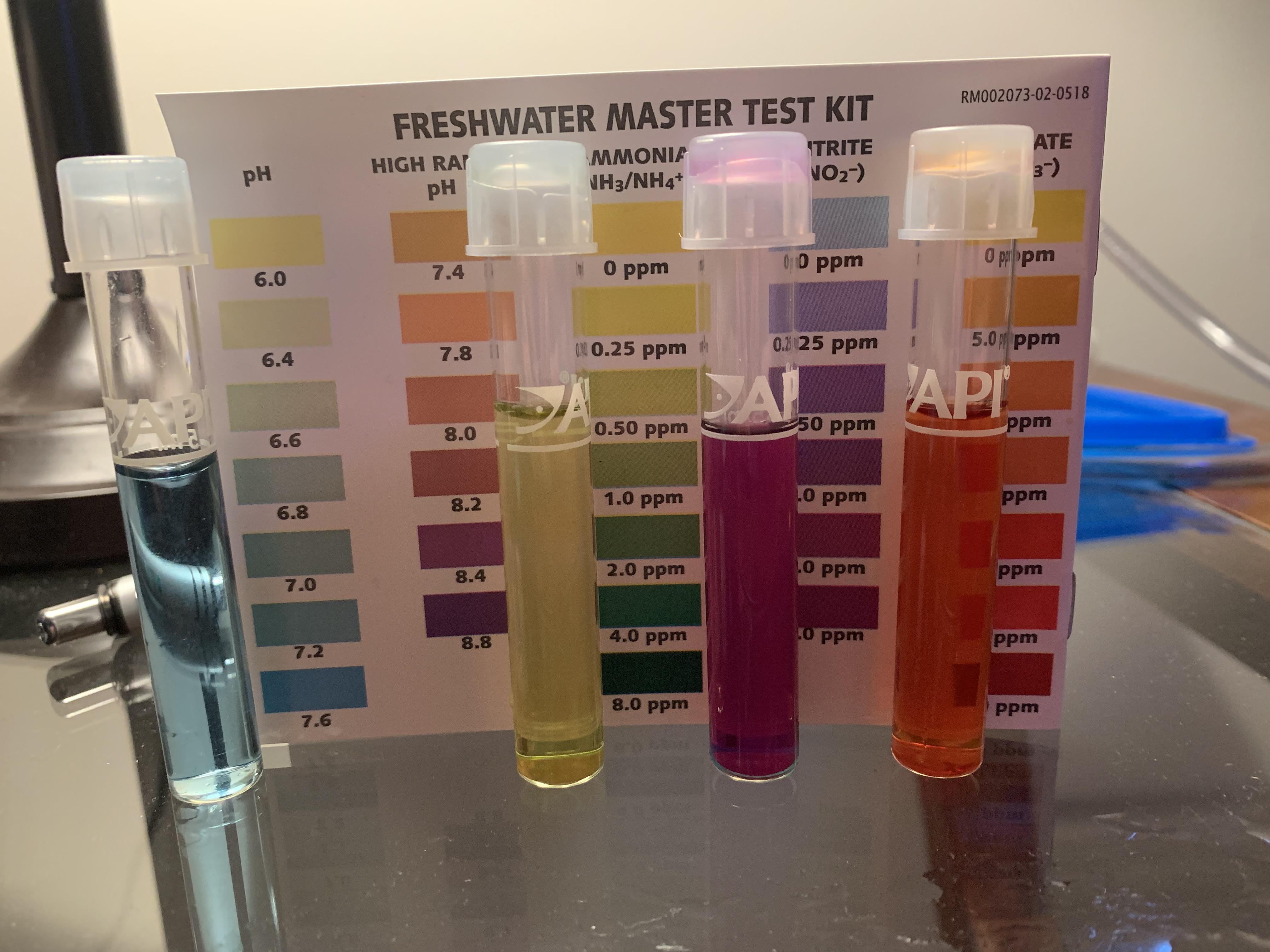 Signs Of High Nitrites In Aquarium Aquarium Views