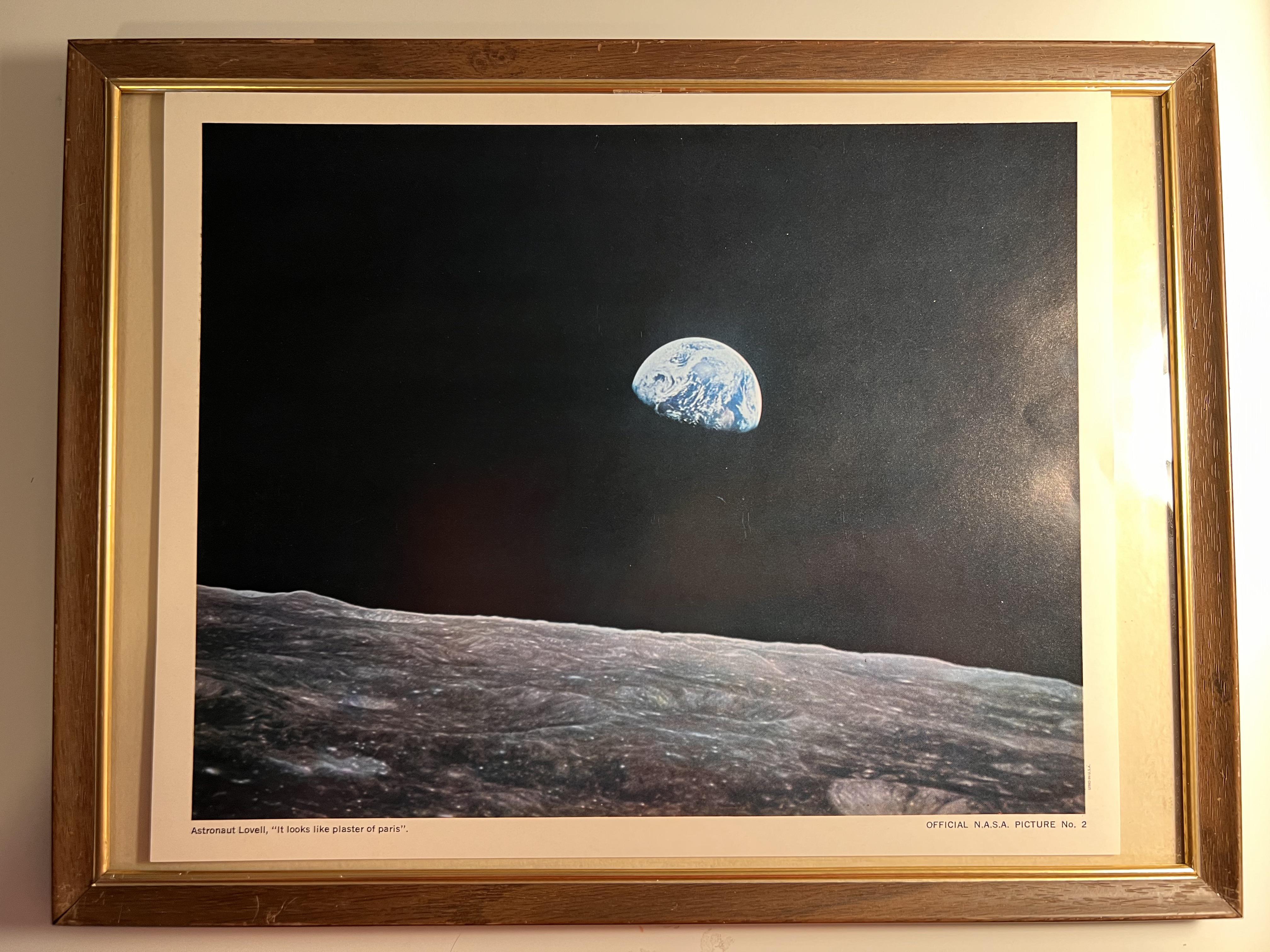 Found this today at a thrift store for 1.50. “Looks like plaster of