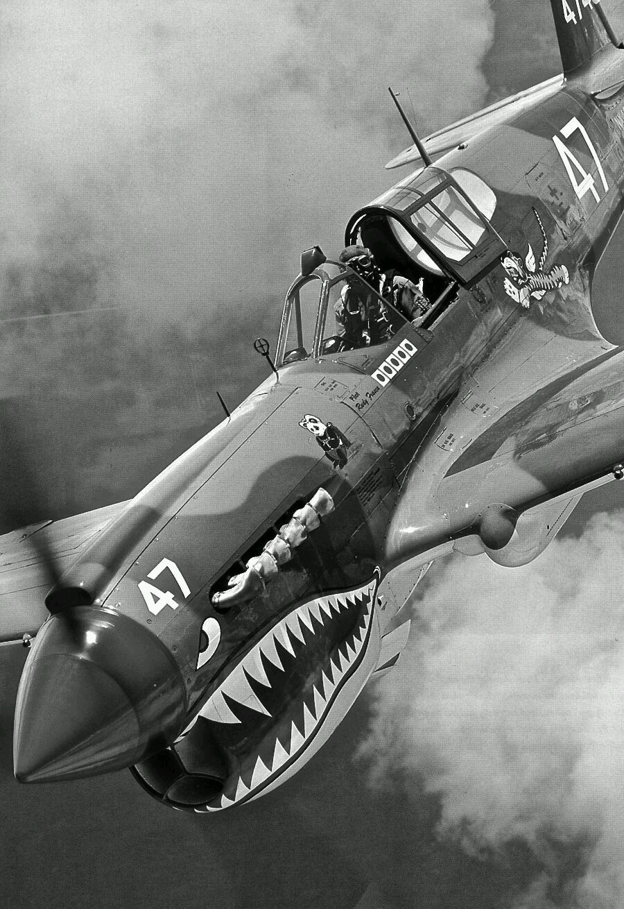 P40 Warhawk of the AVG Flying Tigers / Panda Squadron. r/Warthunder