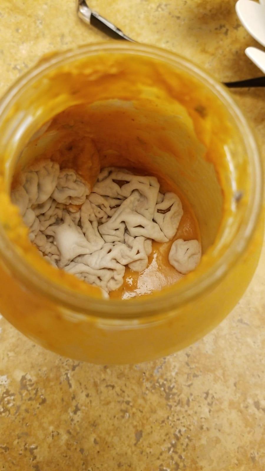 This fungus that grew inside of Trader Joe’s Pasta Sauce r/mycology