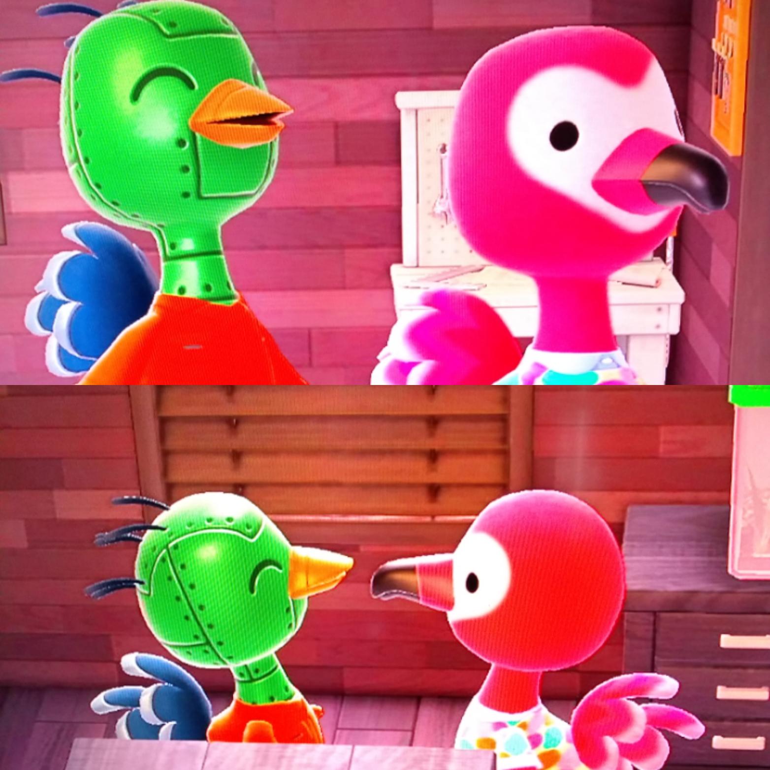 Flora visited Sprocket and he followed her around with this little happy face the entire time