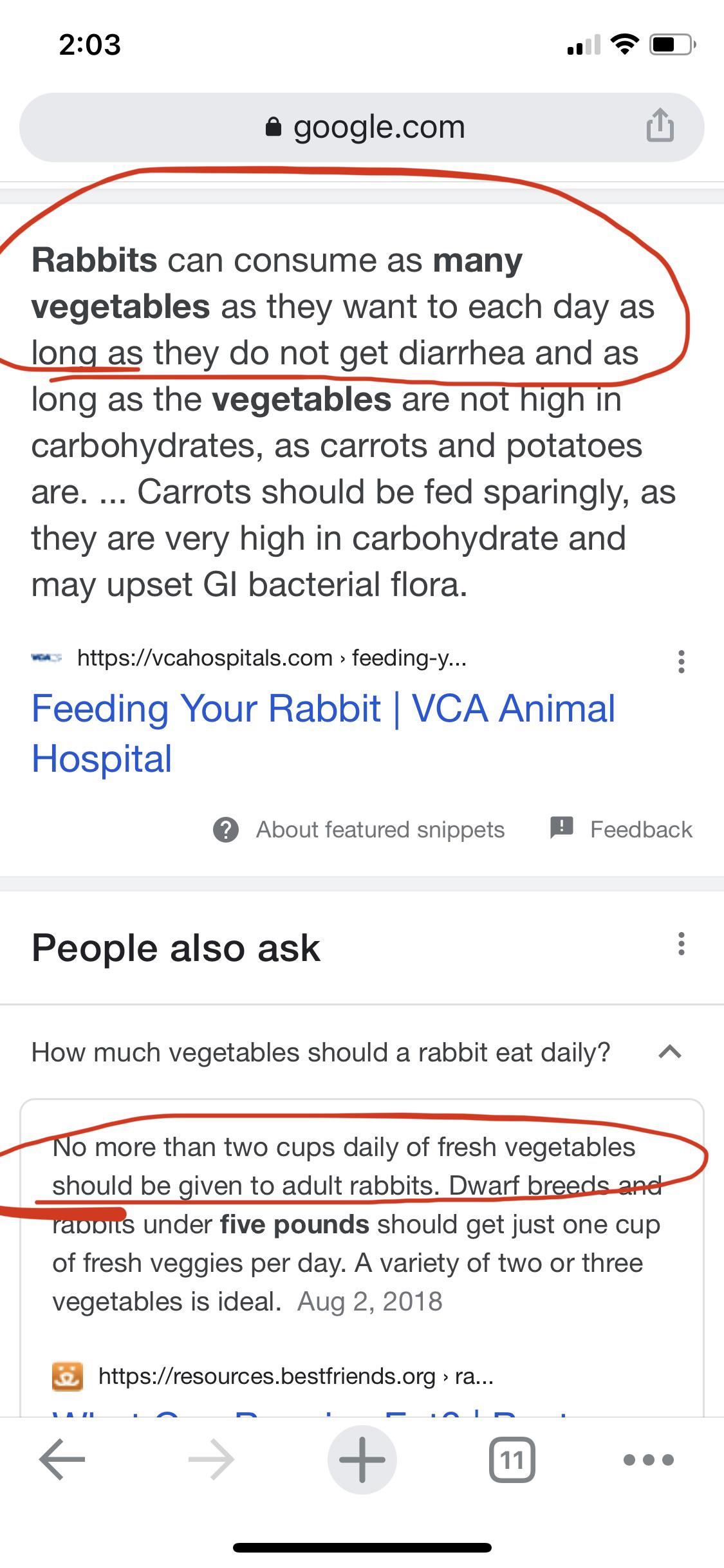 Too many vegetables? r/Rabbits