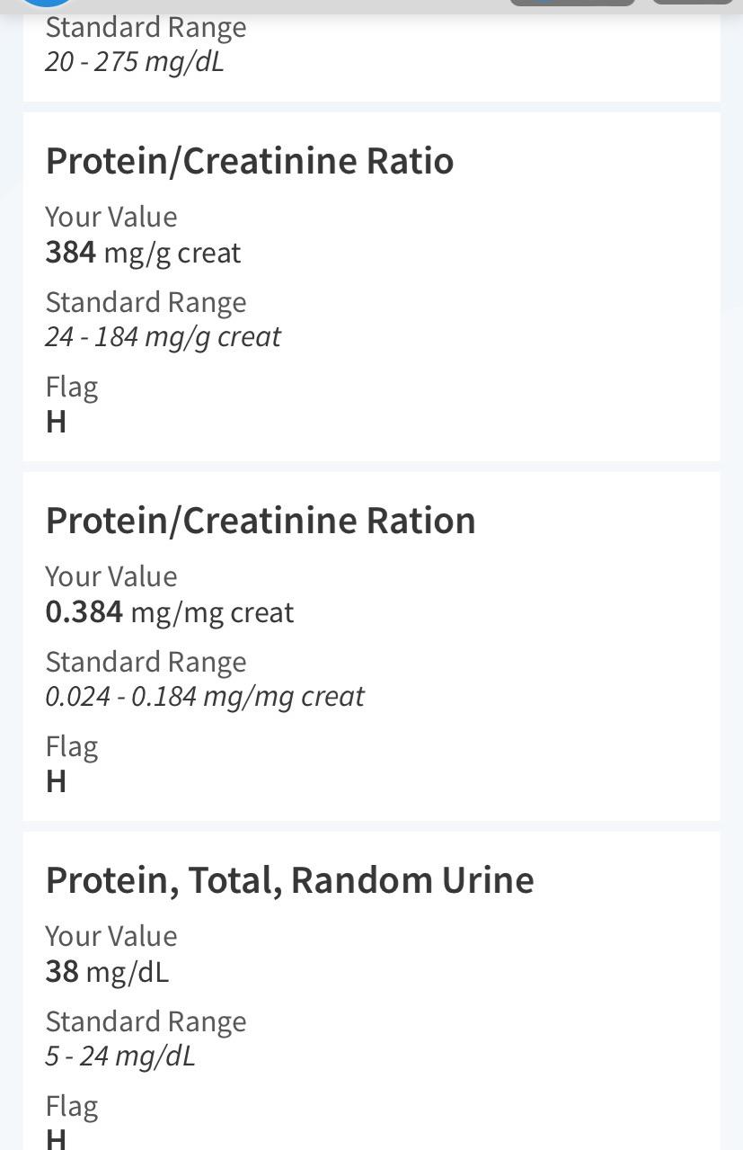 What is high protein in urine mean if no high blood pressure? r