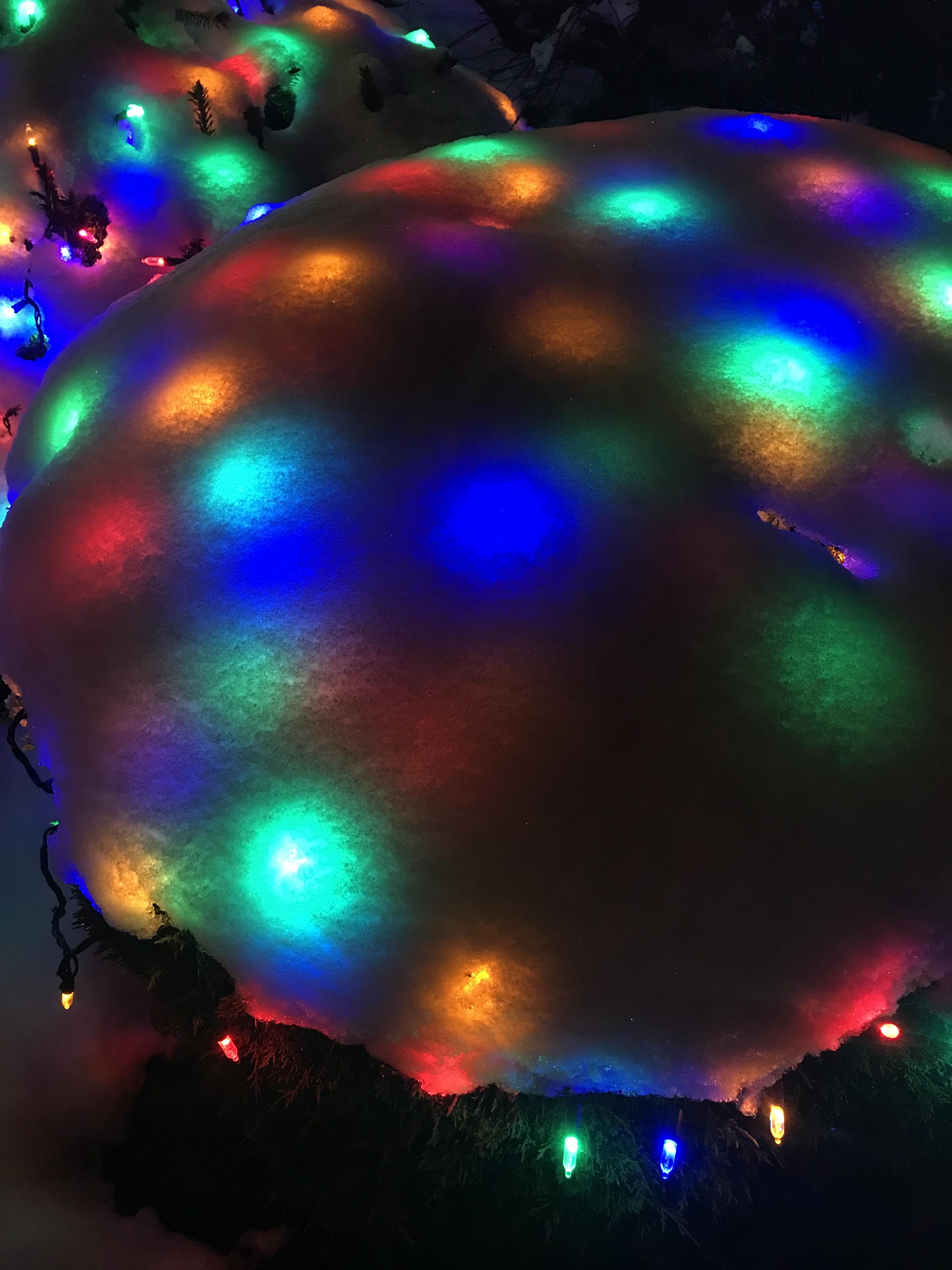 Christmas lights under fallen snow Like For Real Dough
