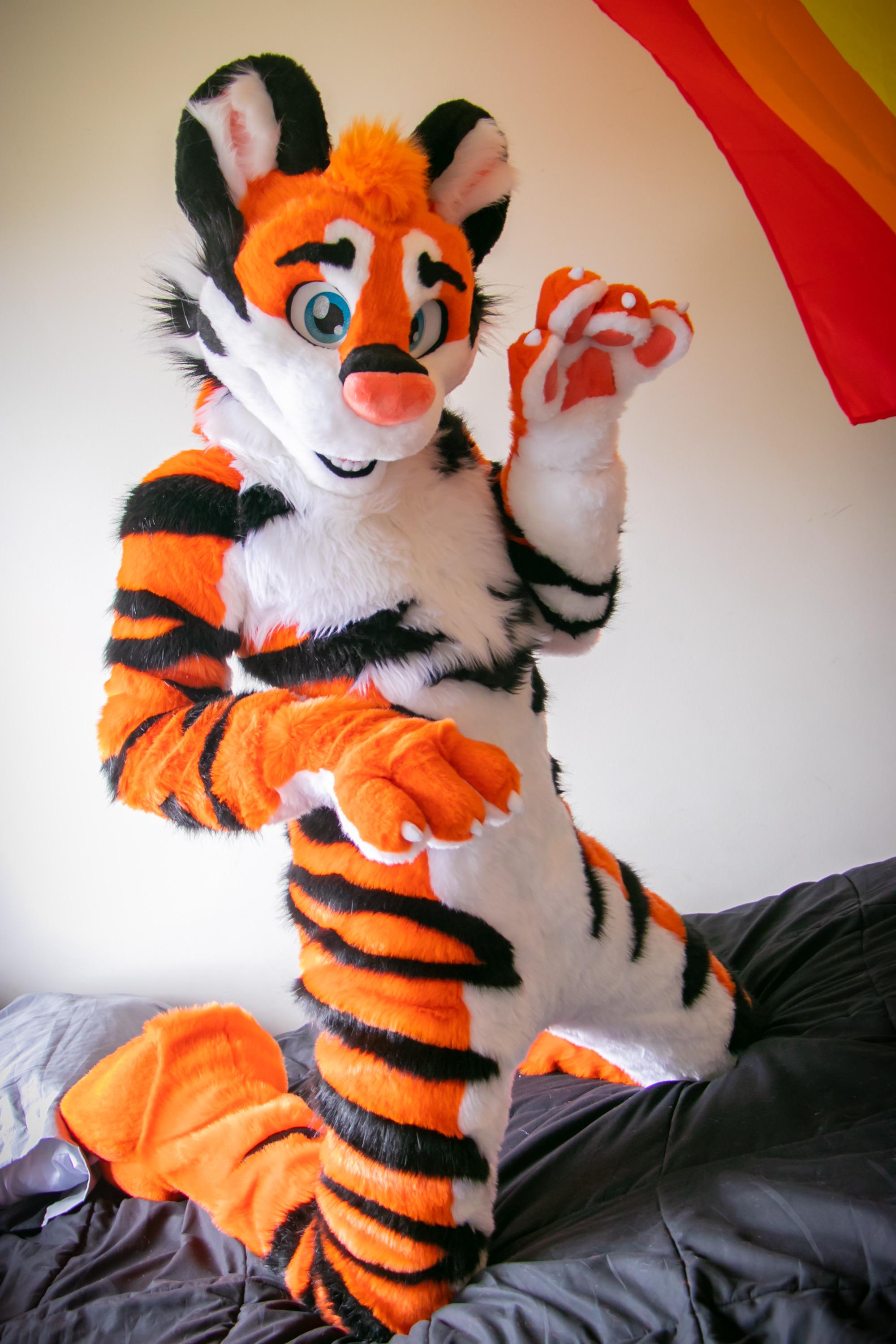 727 best r/fursuit images on Pholder Told my friend I was a furry