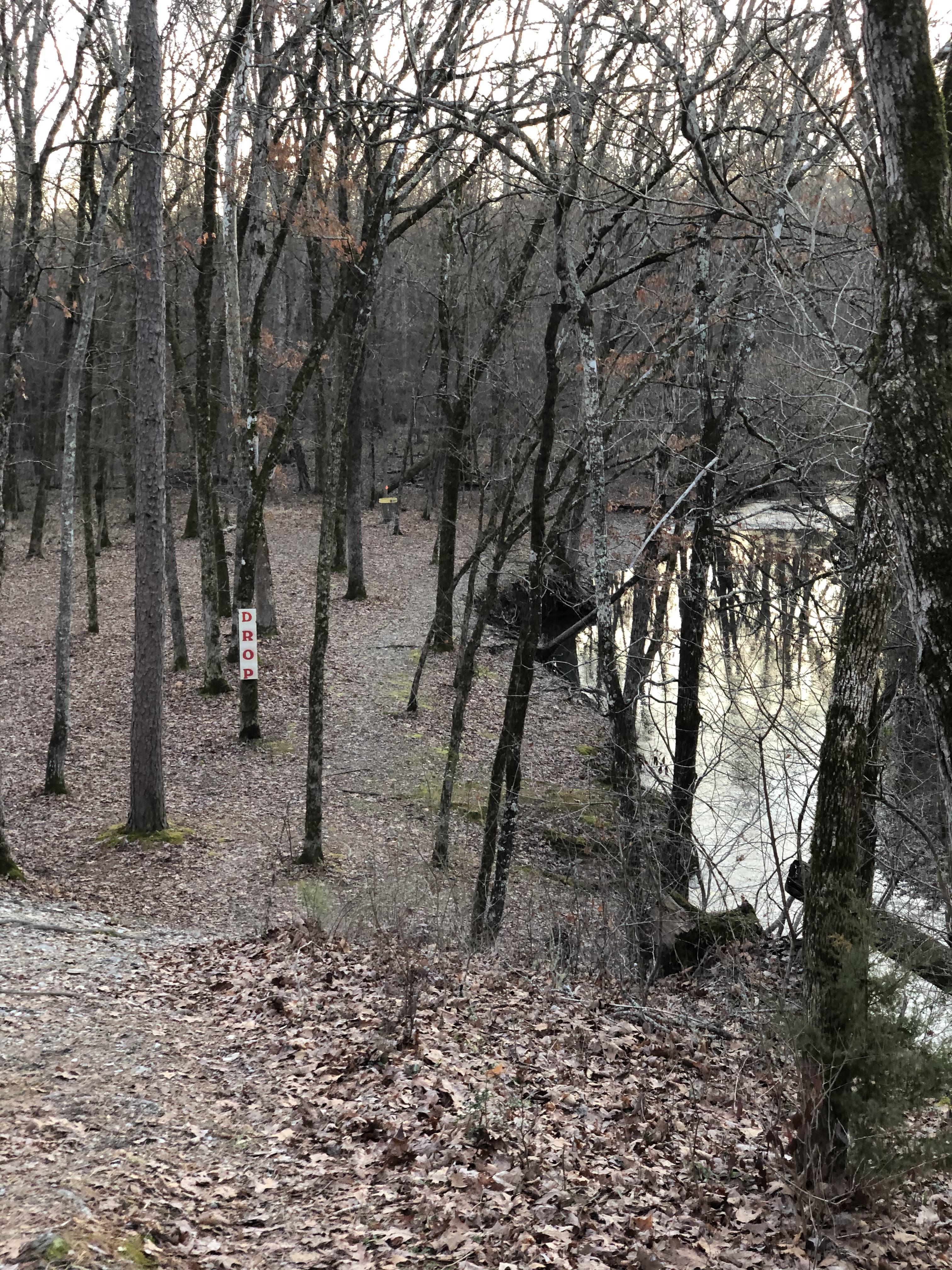 Hole 8, Wildcat Disc Golf Course, Hot Springs, Arkansas, a.k.a. where I offer up my most