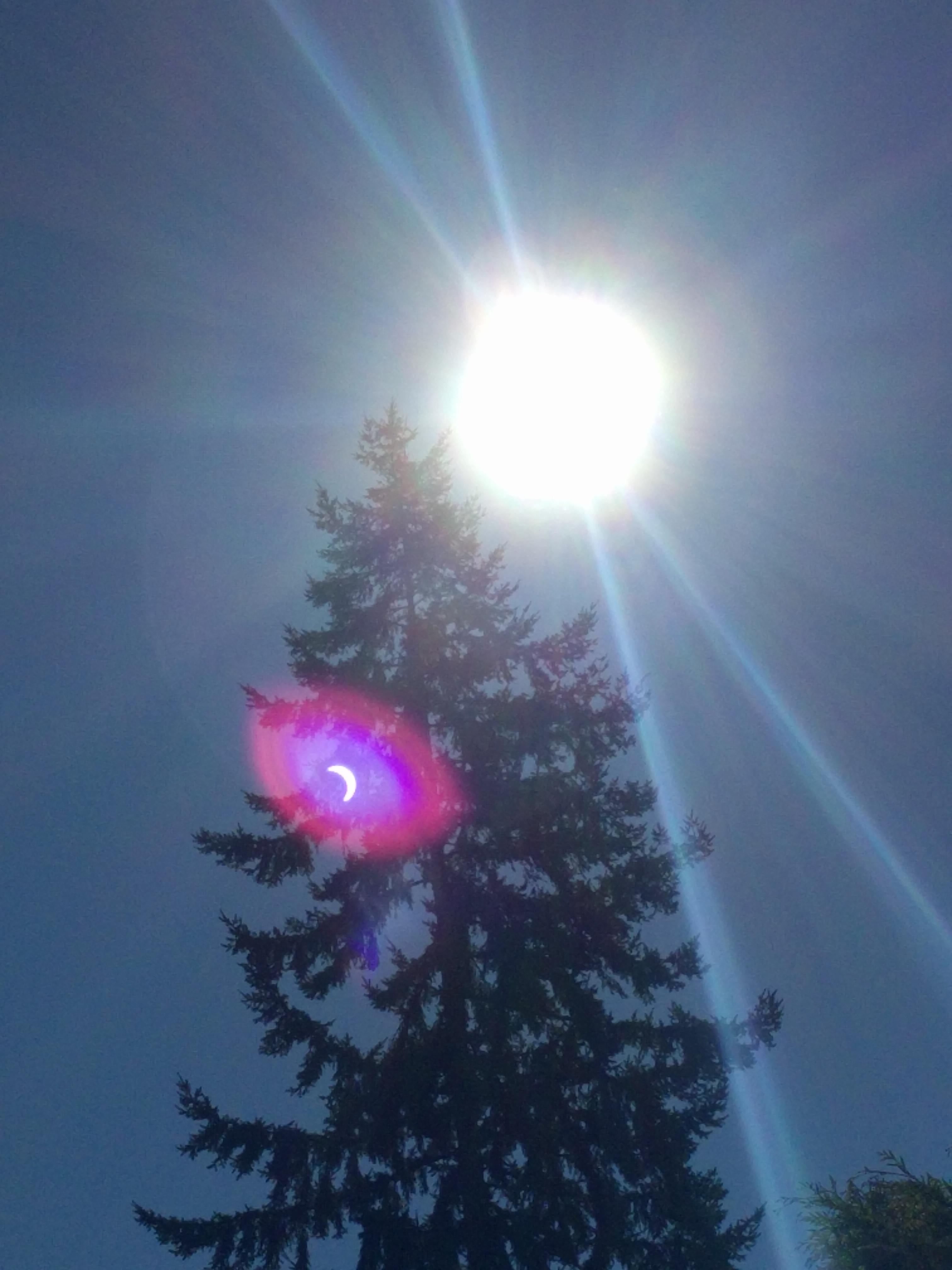 Eclipse lens flare on a cell phone (note using phone to photograph sun