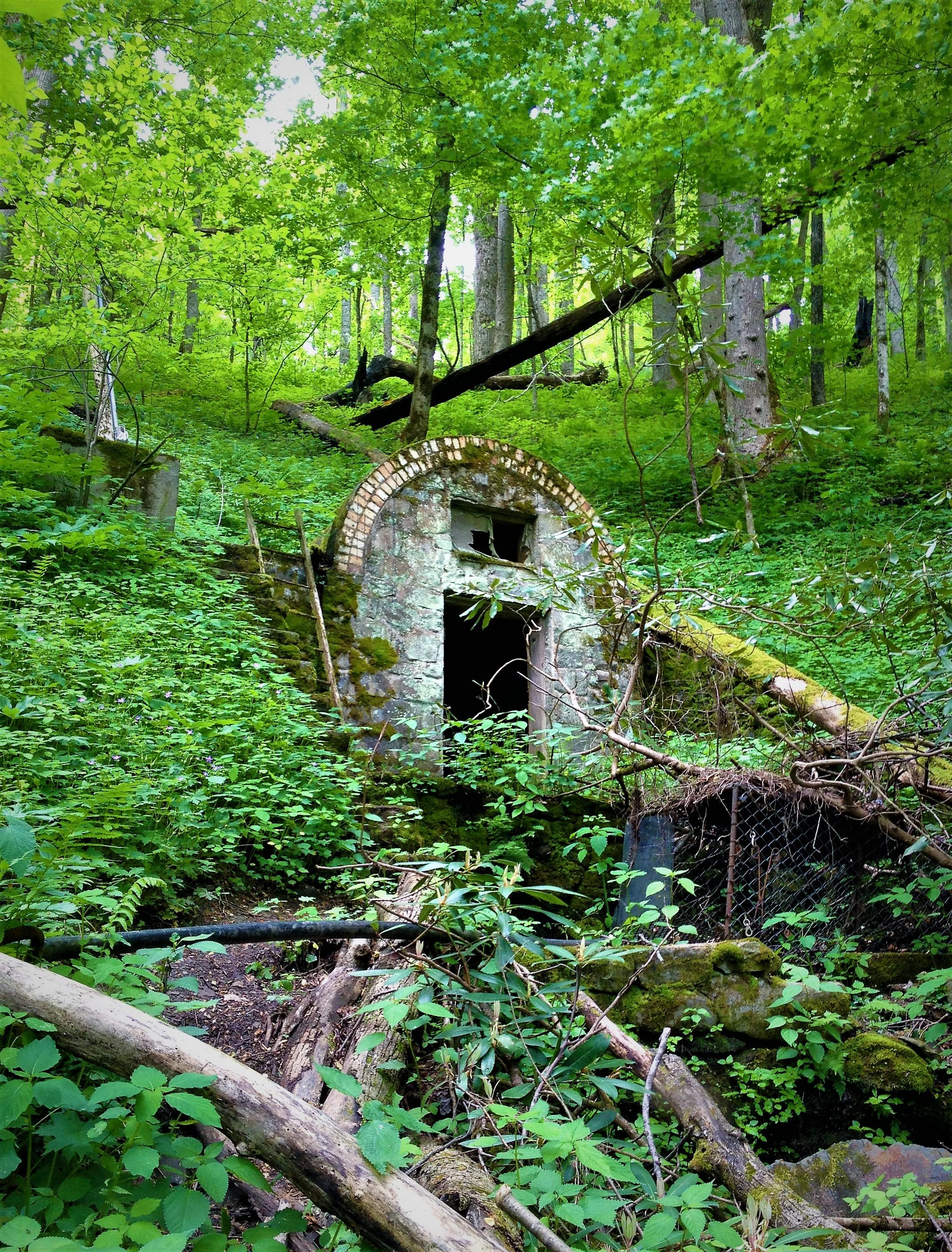 The House of Fairies in the Great Smoky Mountains. It really should be