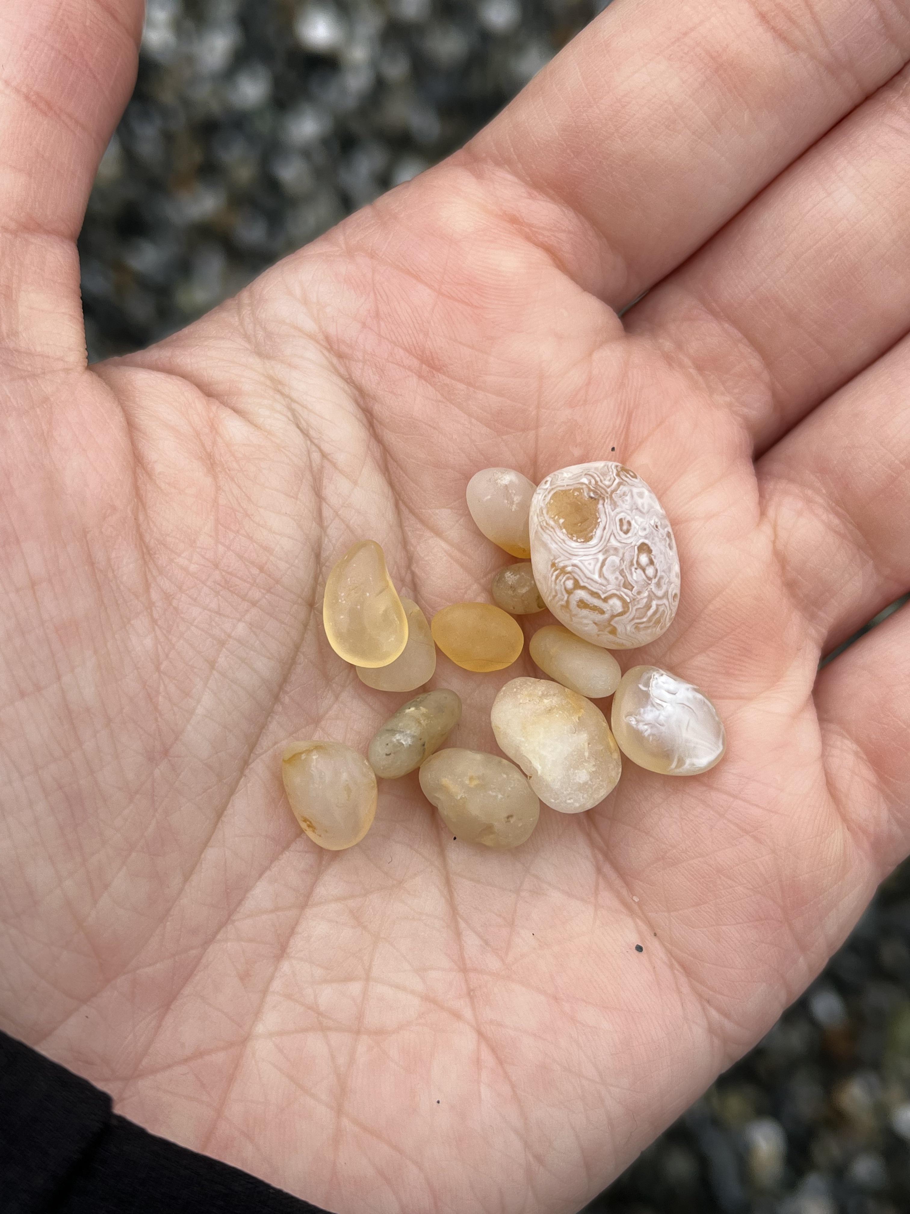 Agate from agate beach! r/rockhounds