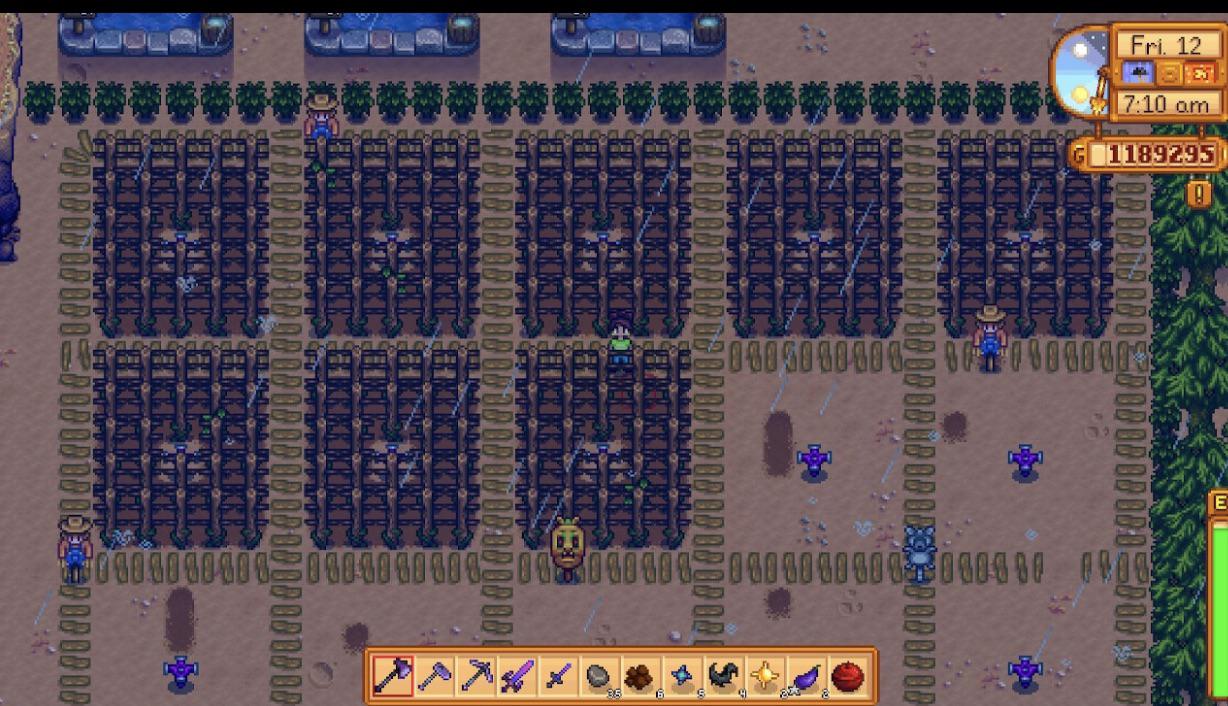Did I eff up planting these grapes like this? 🍇 🍇 🍇 r/StardewValley