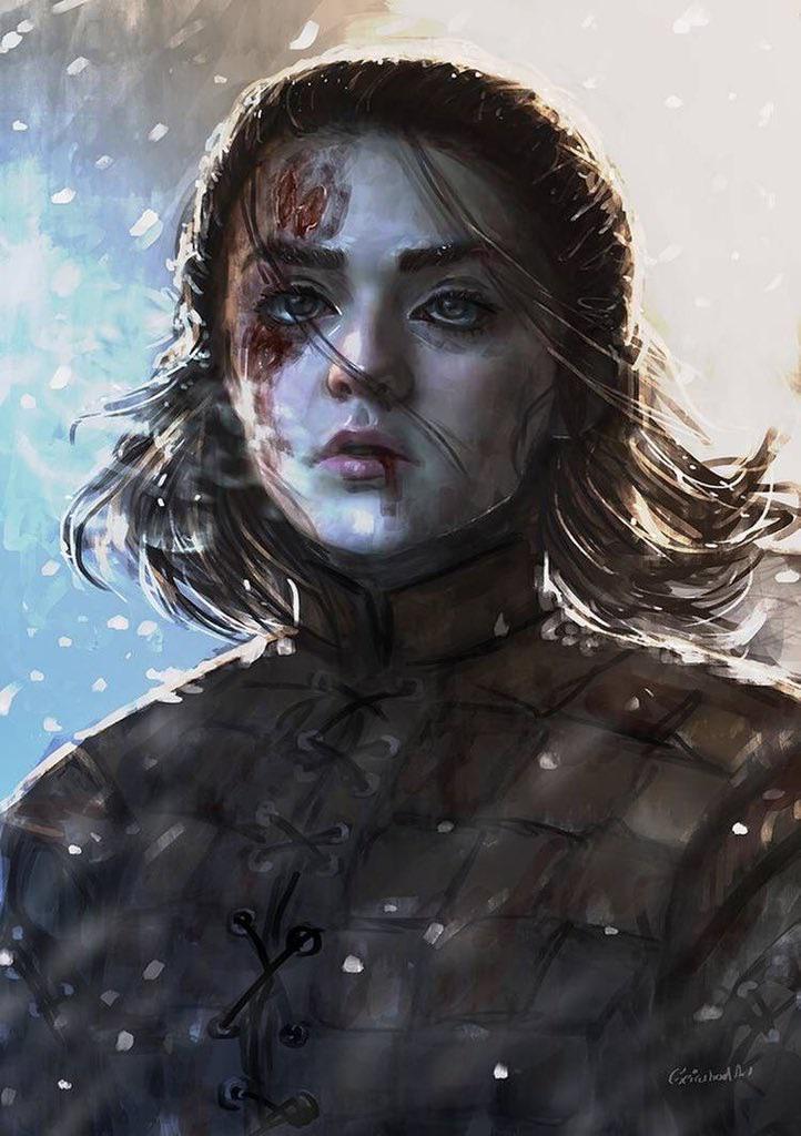 [NO SPOILERS] Arya stark r/gameofthrones