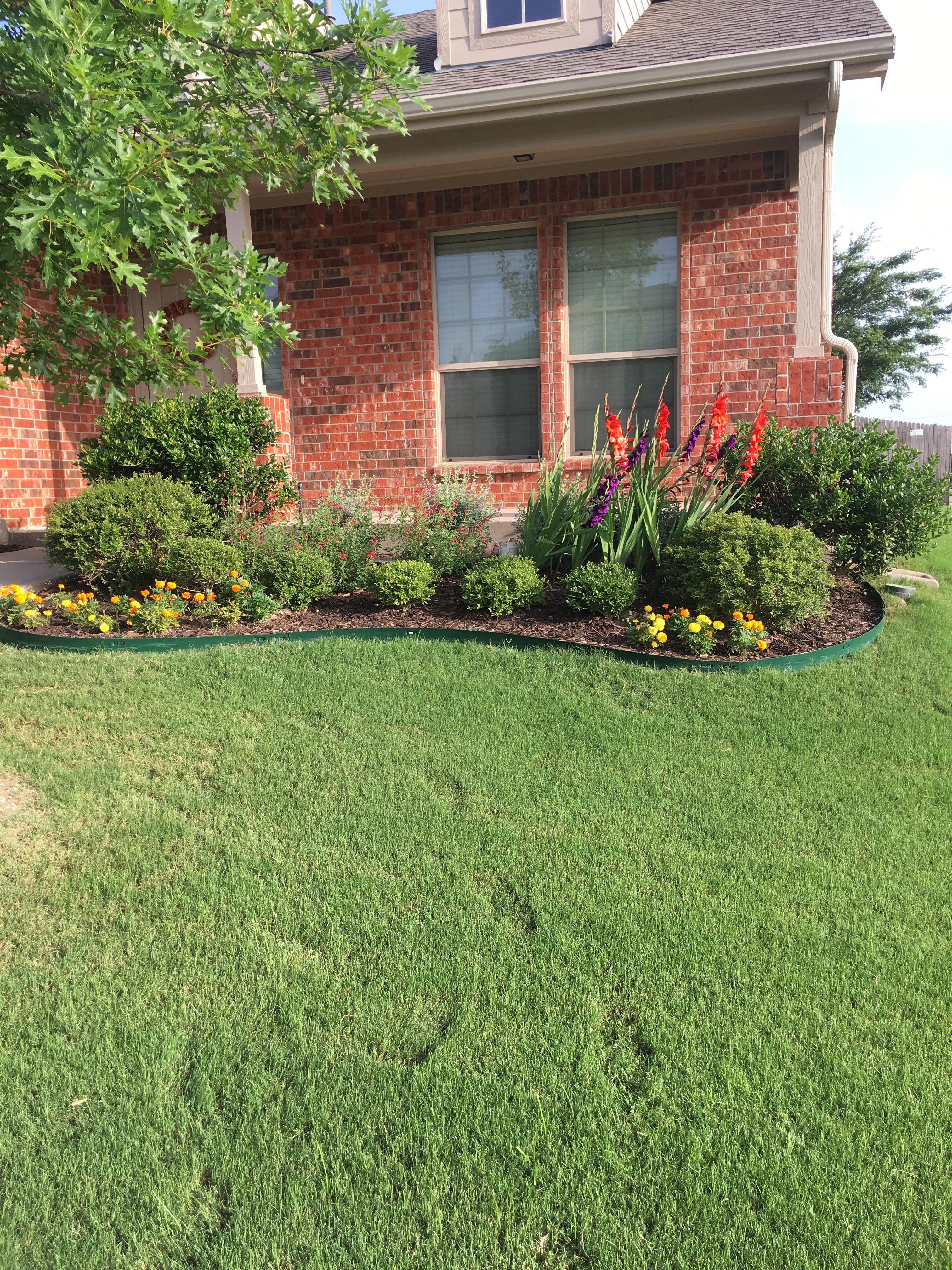 Flower bed update! All my flowers look so good! r/gardening