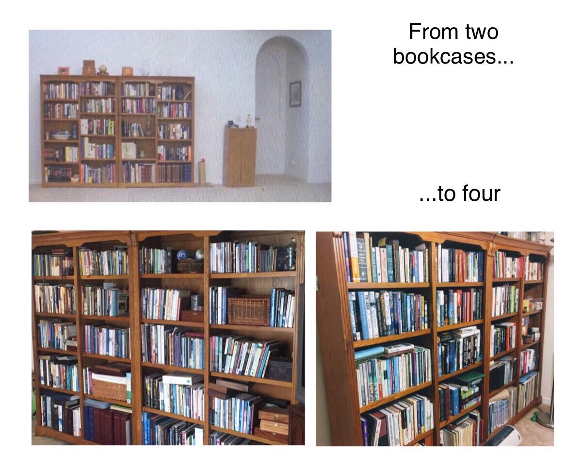 From two bookcases to four takes less time than you think. r/bookshelf