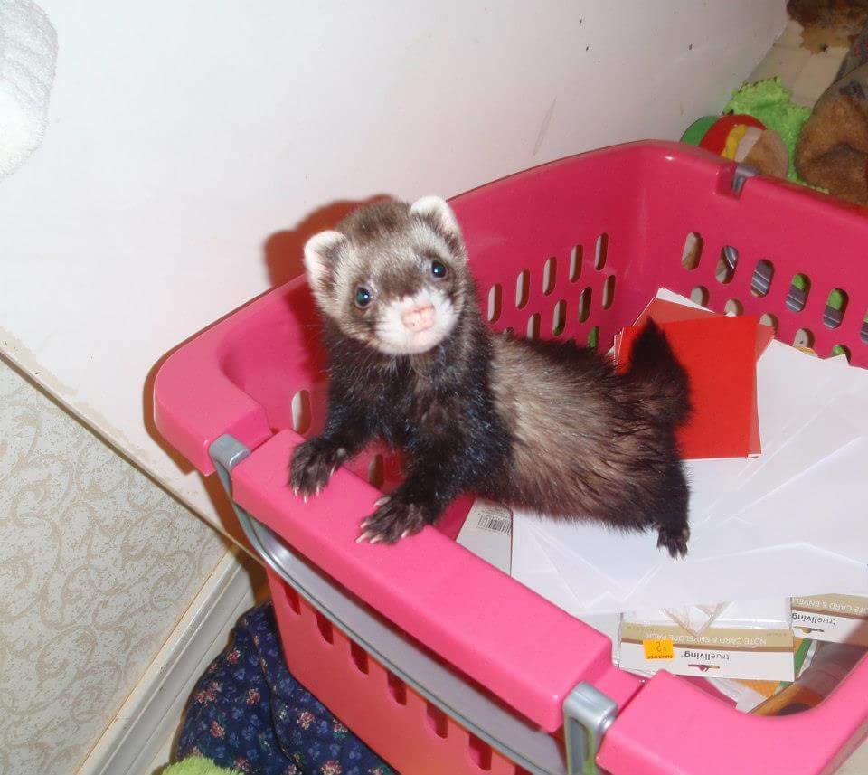 Jack. You could have given him free roam of the world and he would have