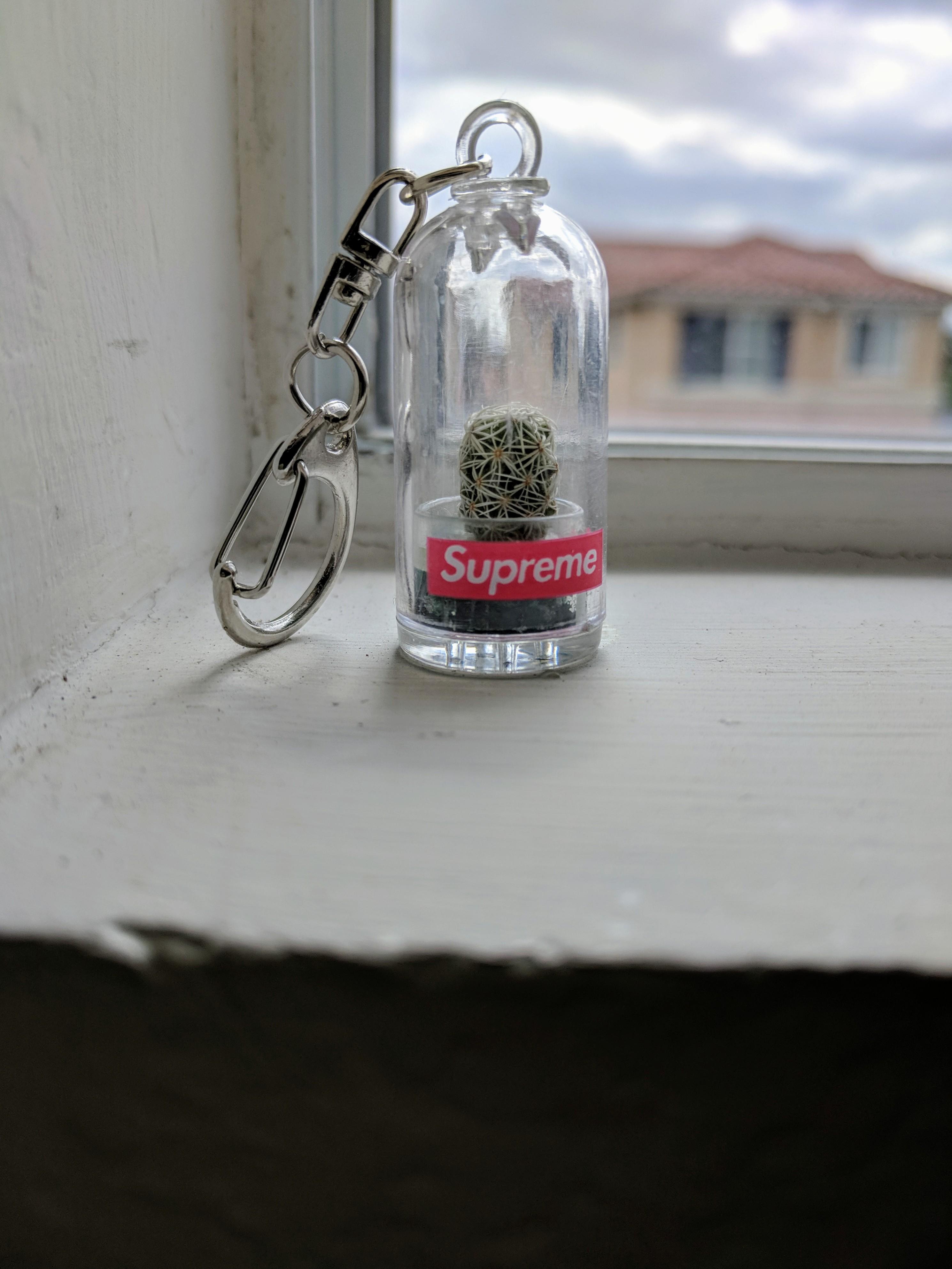 s/s 18 supreme cactus r/Supreme