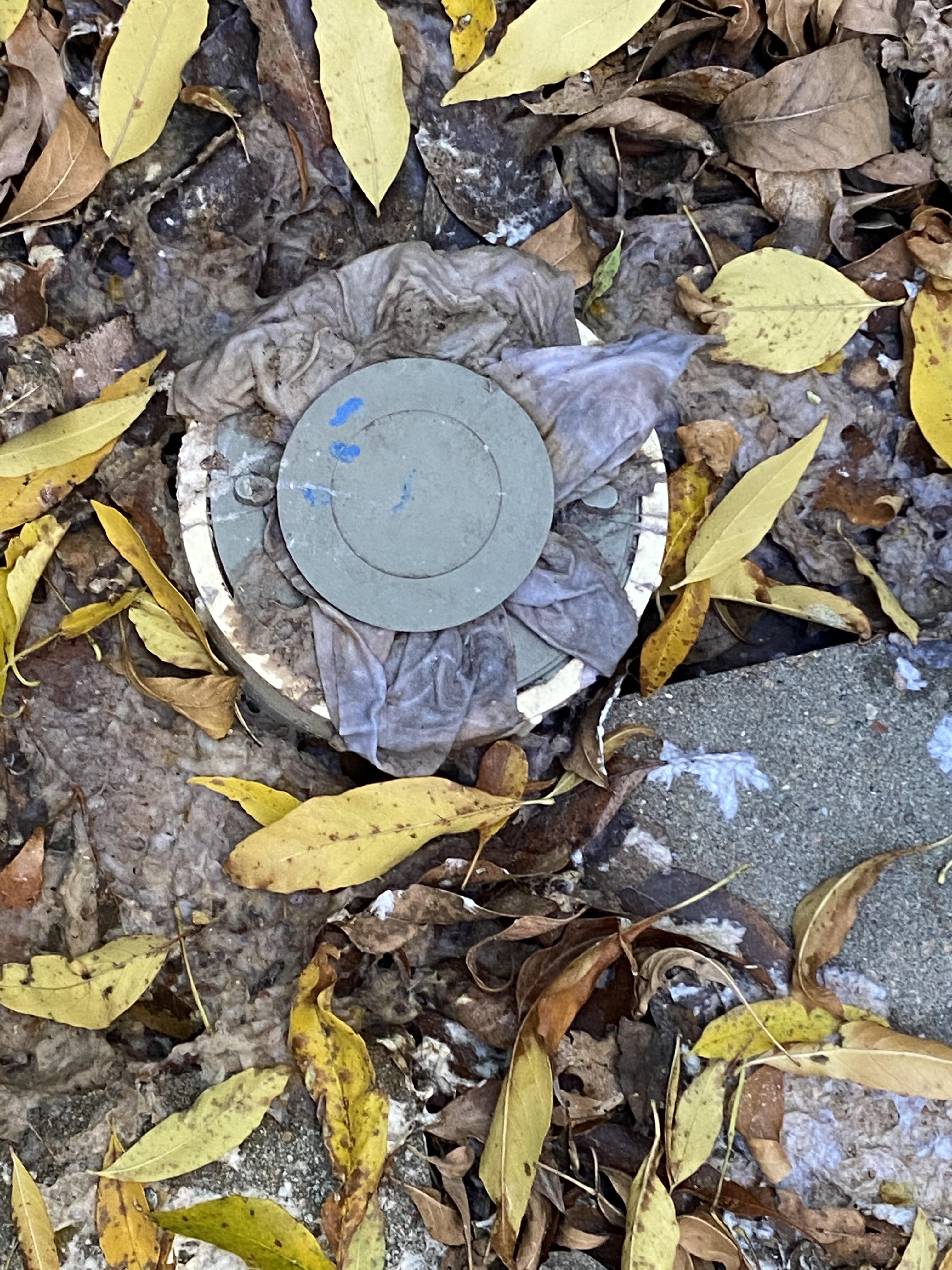 Wipes clogged pipes?? I live in a townhouse and just noticed this today