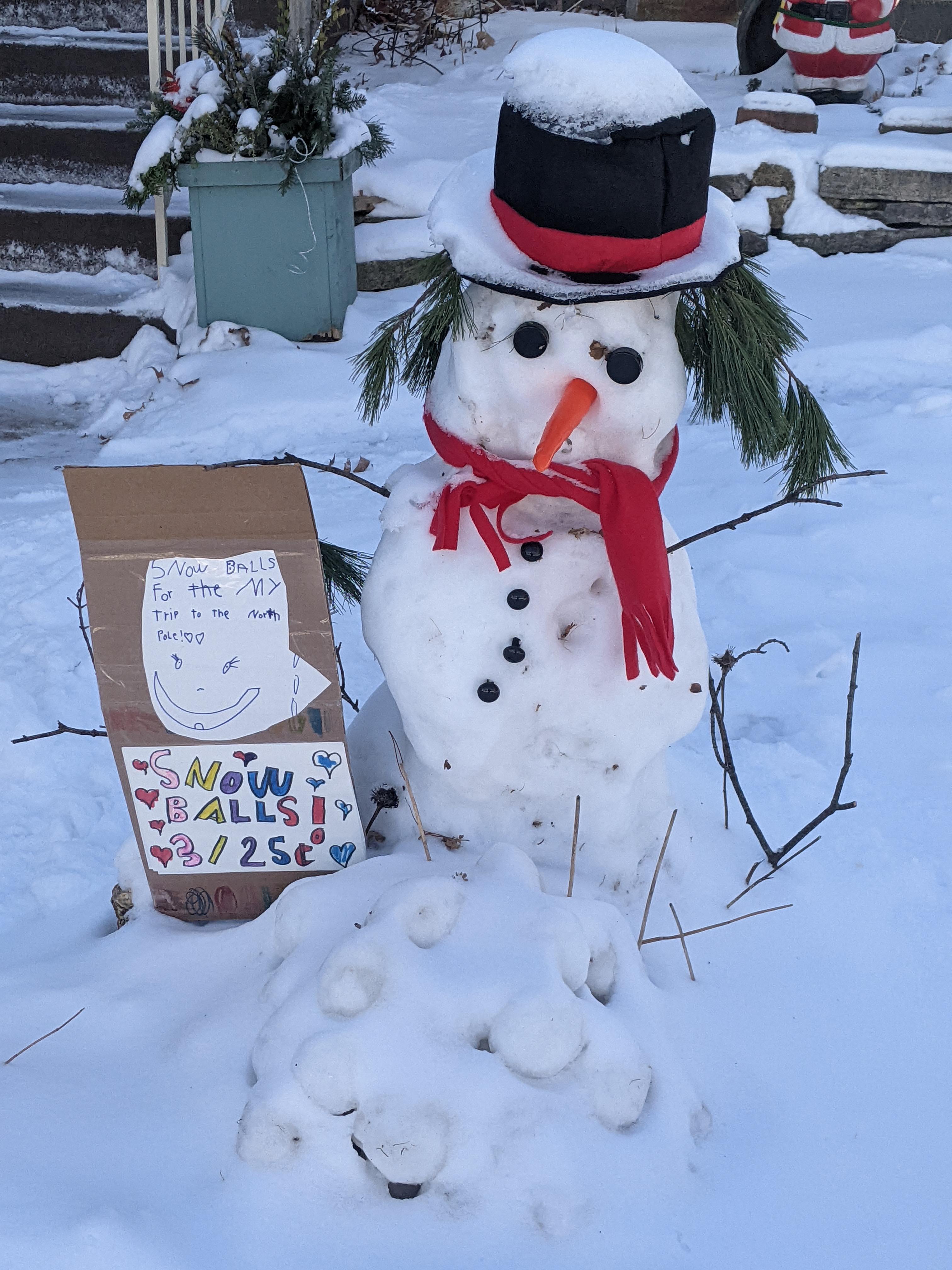 This snowman in my neighborhood selling snowballs : r/mildlyinteresting