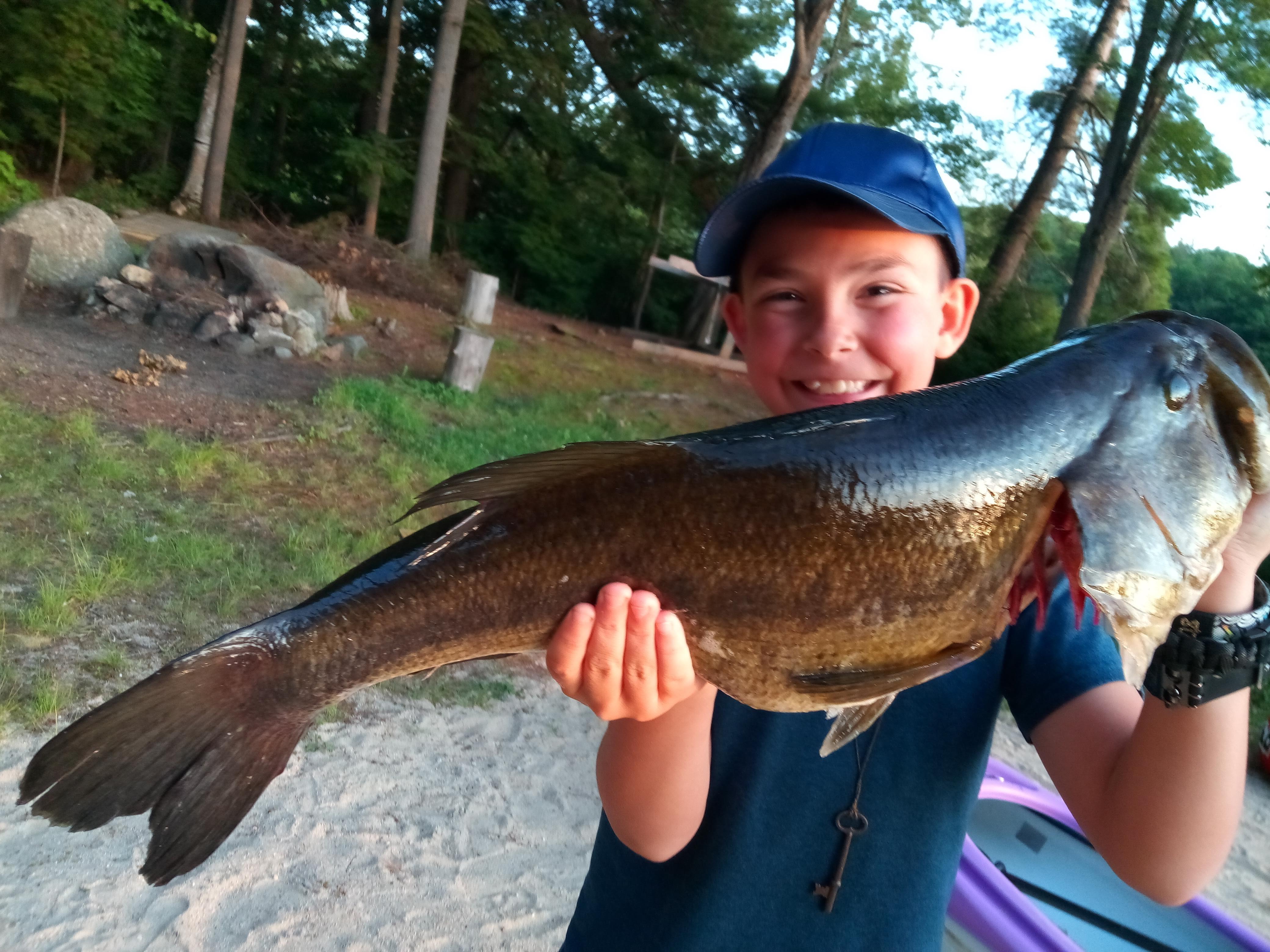 Nice New Hampshire 22 inch largemouth (caught on a shiner) [fw] r/Fishing