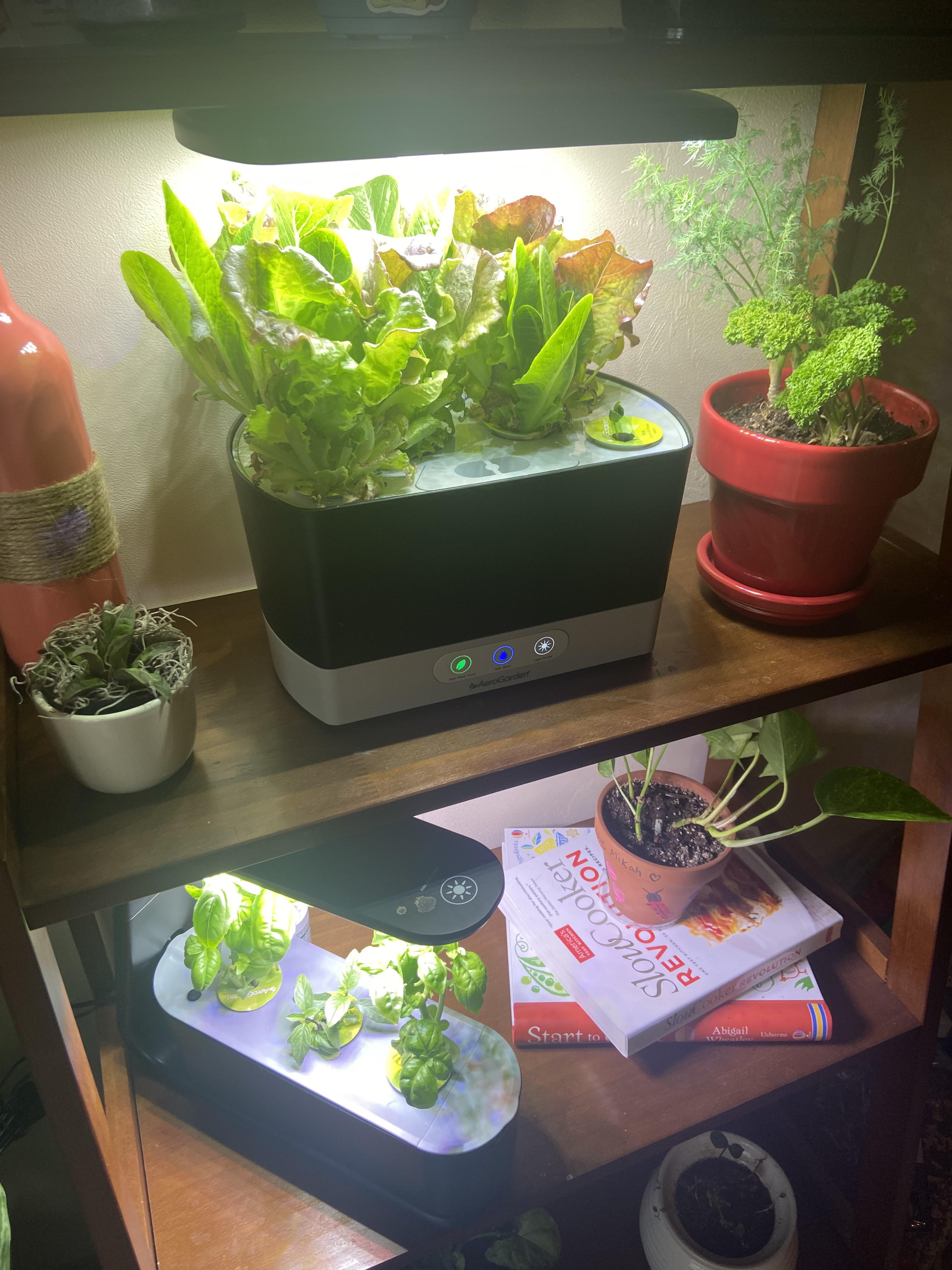 Are you using aerogarden as a starter for plants or there long term