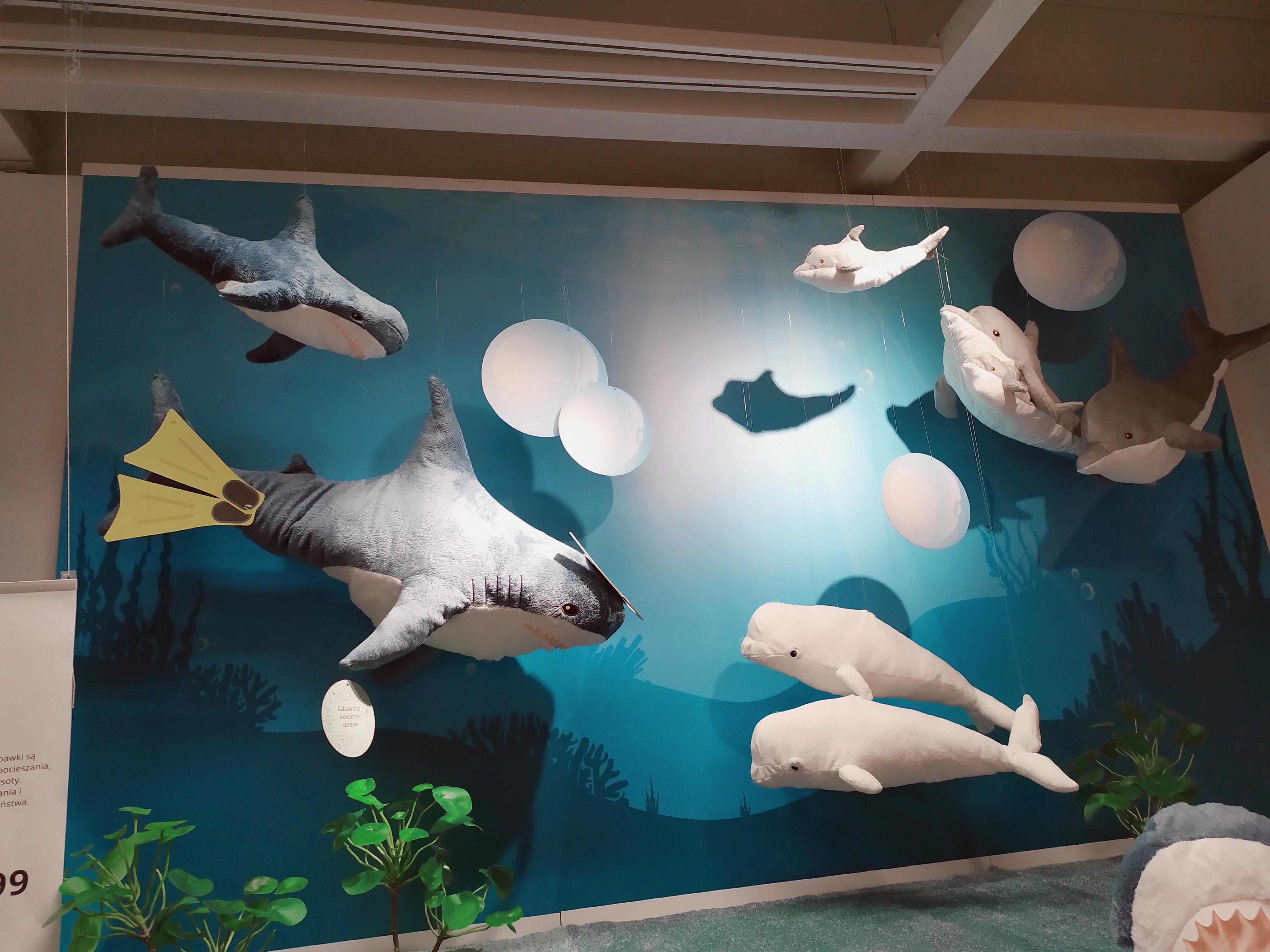 Local Ikea exposition plus one shy shark is hiding in a corner! BLAHAJ