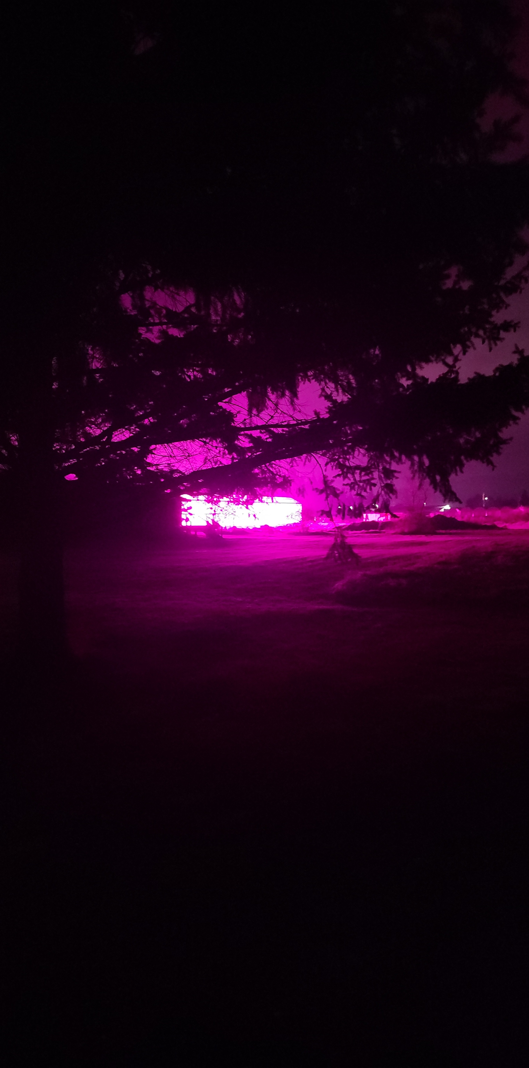 the green house lights next to my house are kind of cool at night r