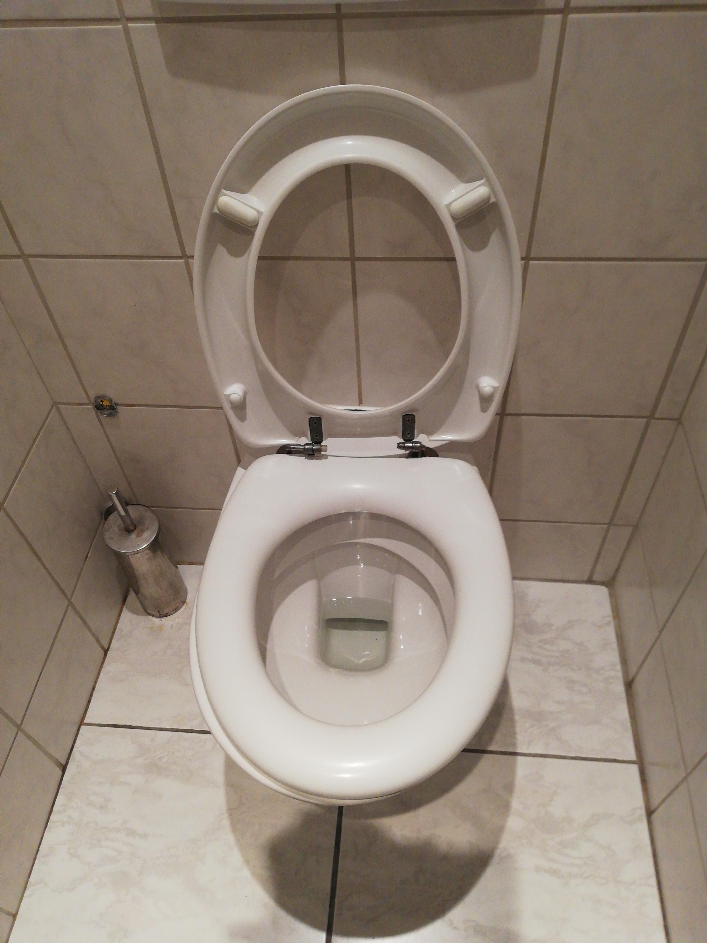 a double toilet seat r/mildlyinteresting