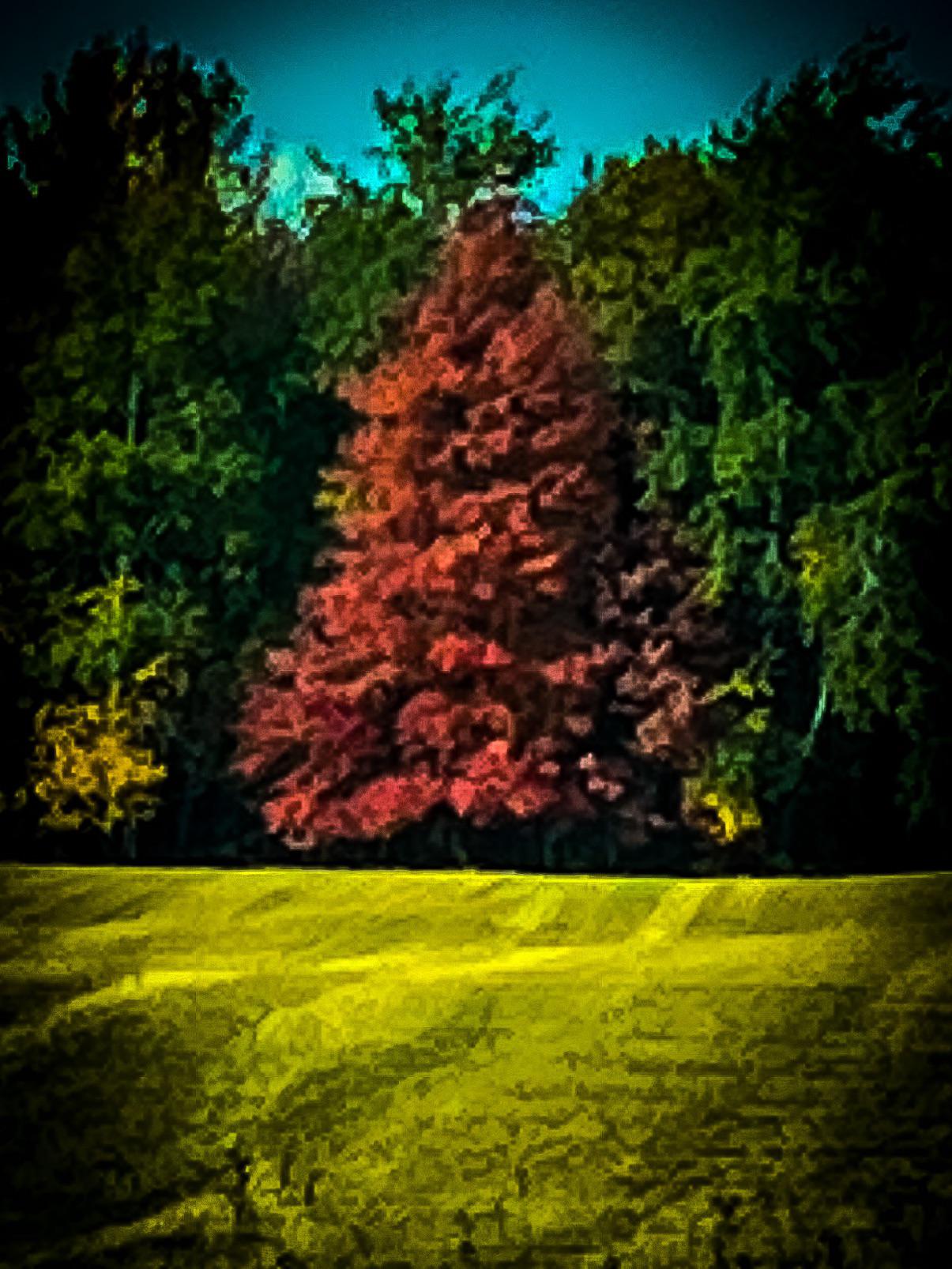 Photo painting, Me, Digital Photo, 2022 r/Art