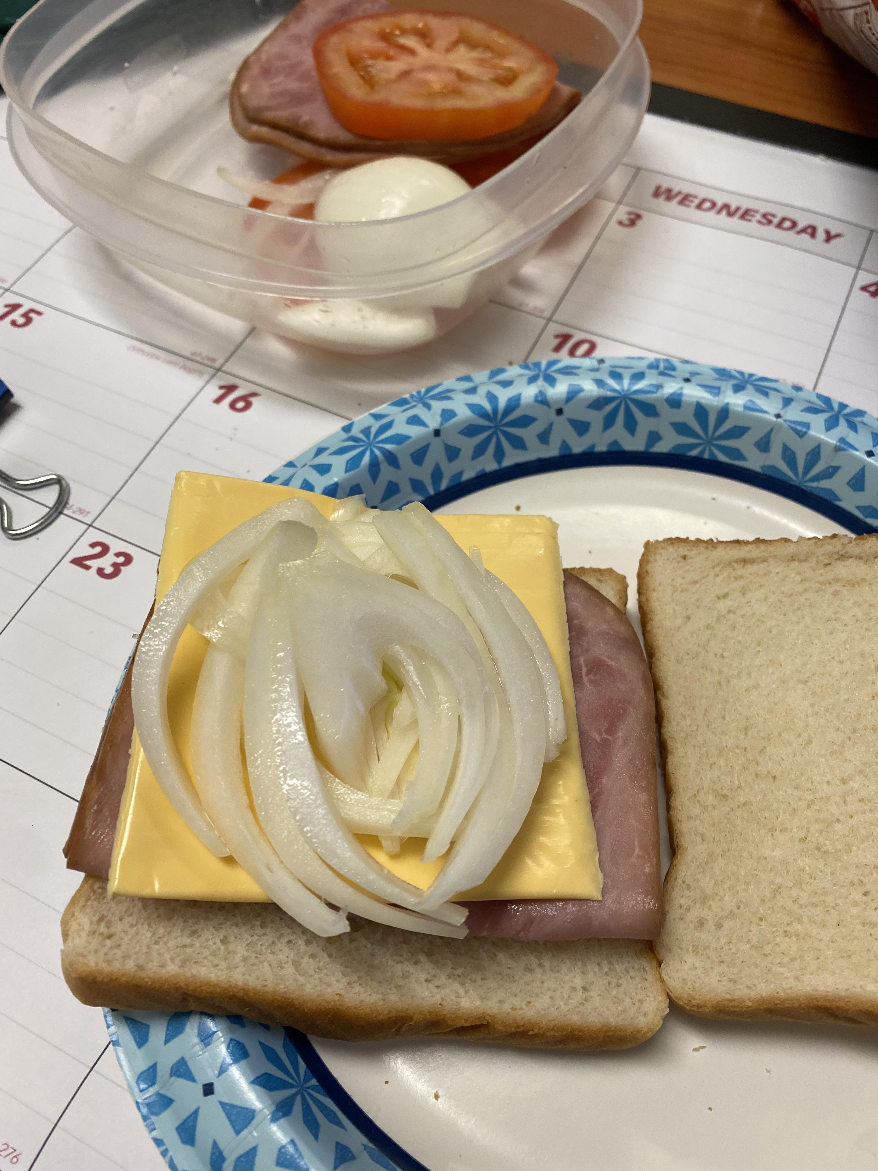 Dry sandwich with lots of onions r/shittyfoodporn