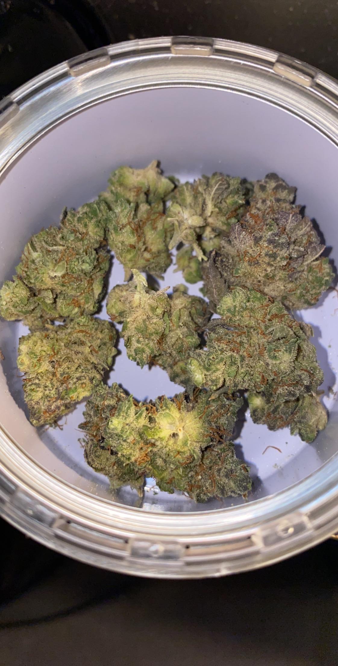 Calypso Cheesewreck. Nice energizing sativa that hits pretty hard, but