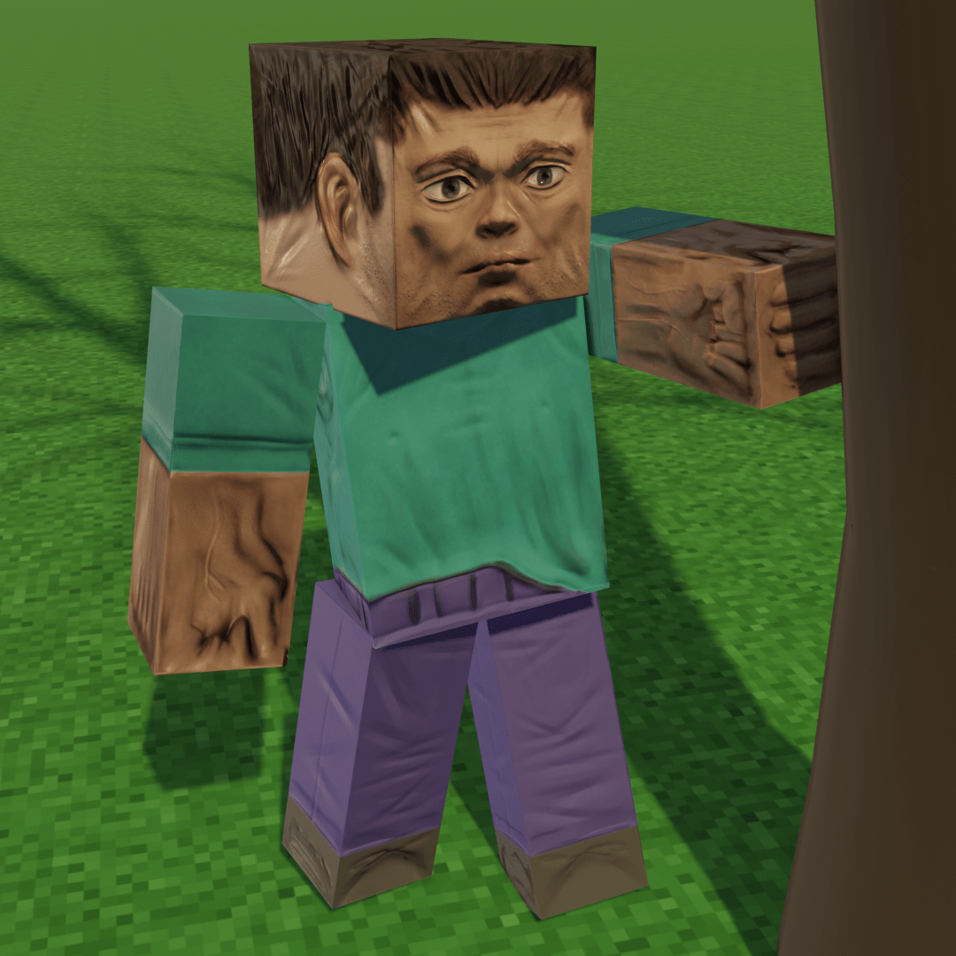 Minecraft Real Life Steve