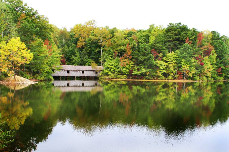 Green Mountain Bridge (day I was married here) r/PictureAlabama