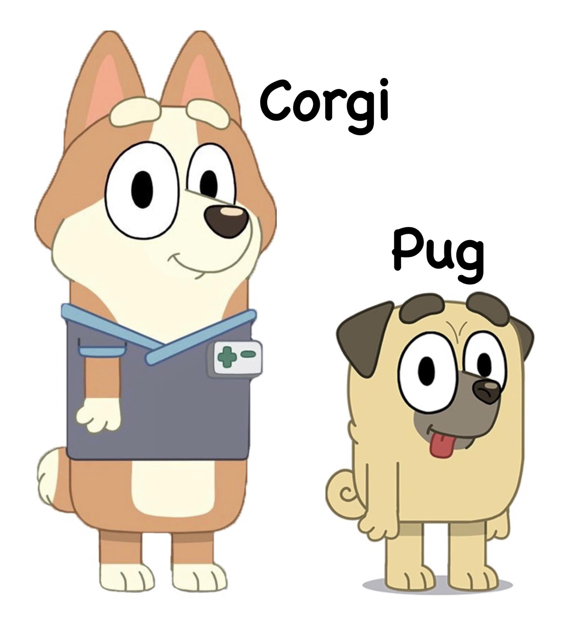 What Kind Of Dog Is Bluey? Everything To Know About The Actual😽