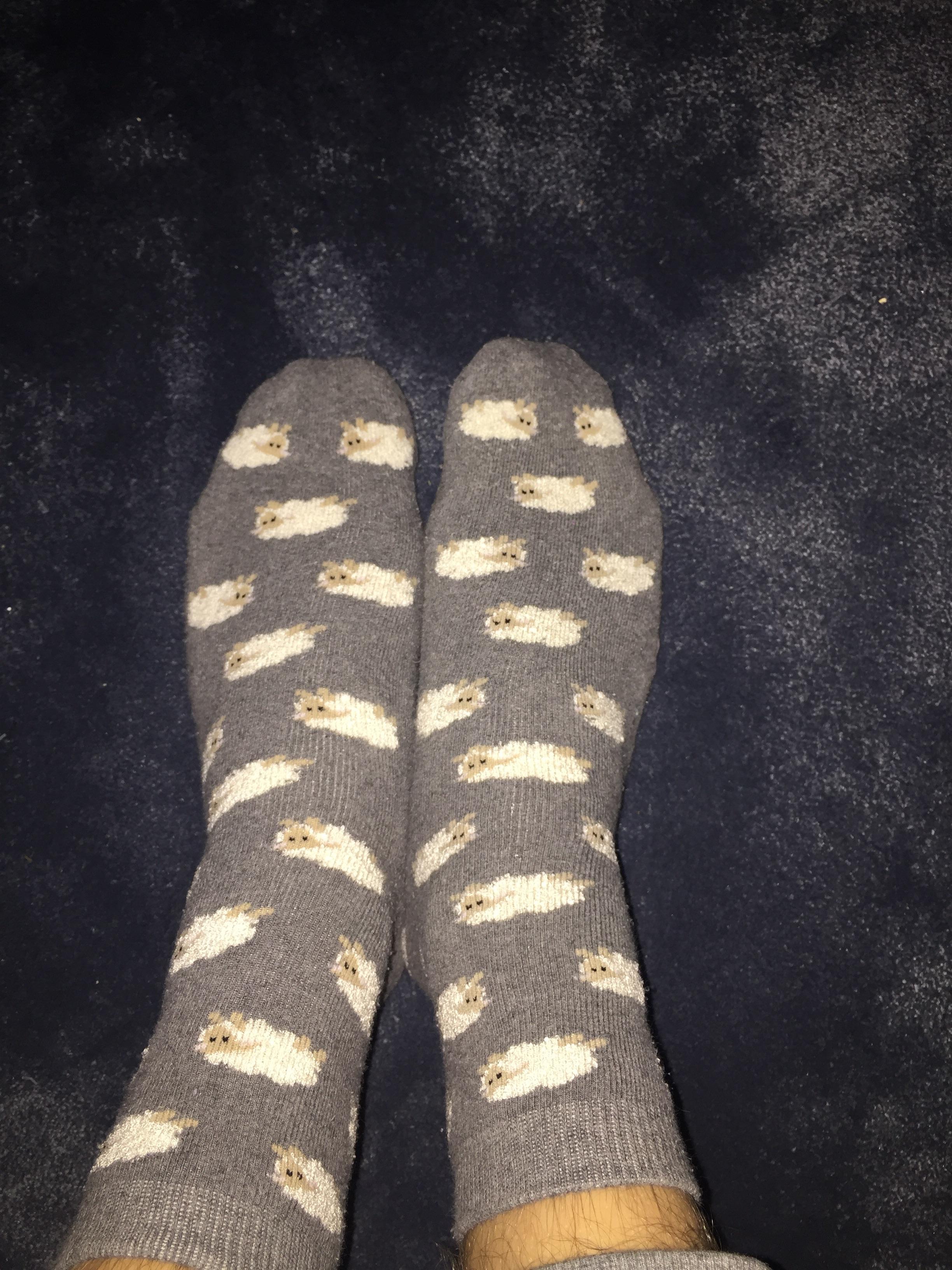 My favourite socks for wearing around the house. They’re really warm