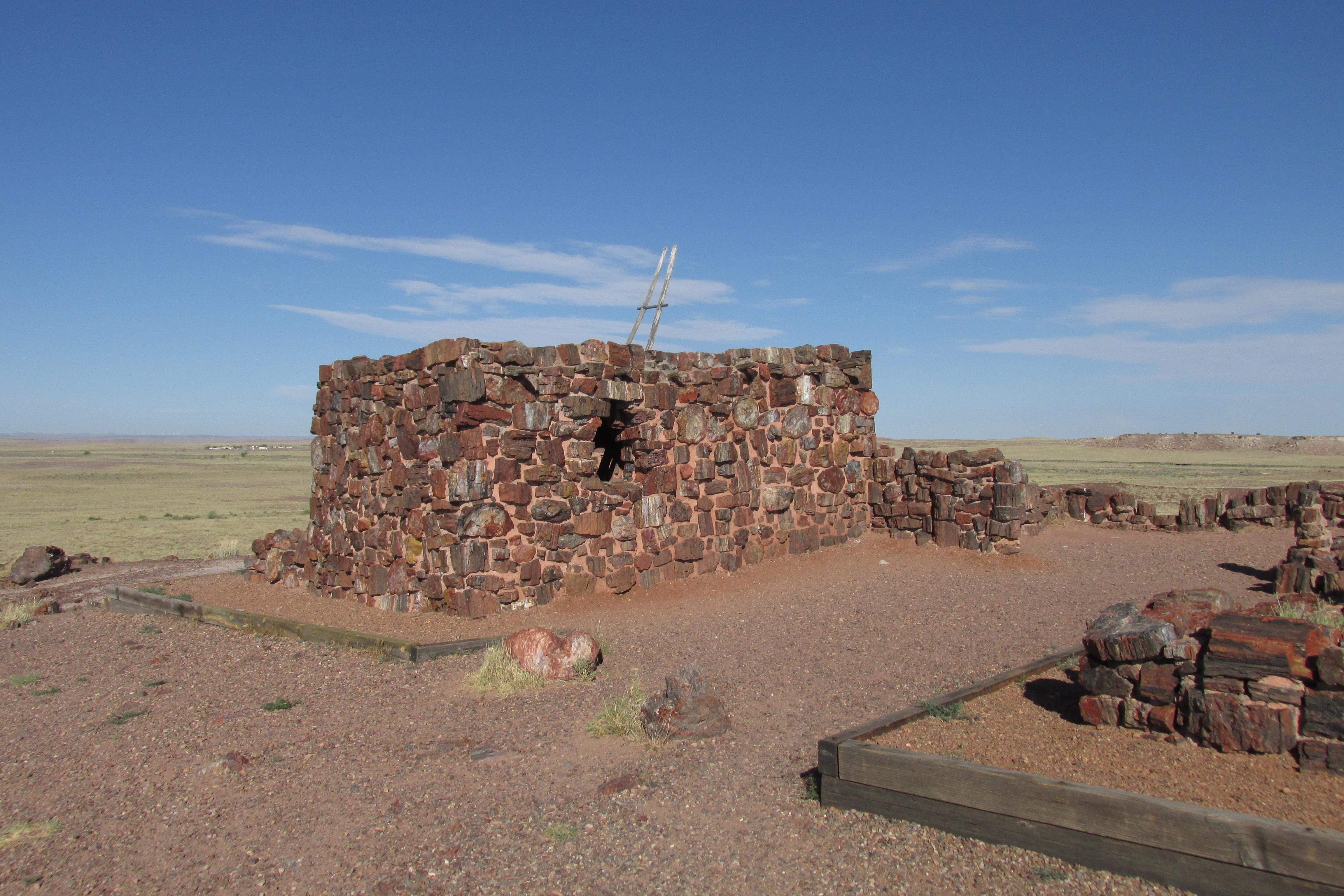 My house is made entirely of petrified wood r/geology