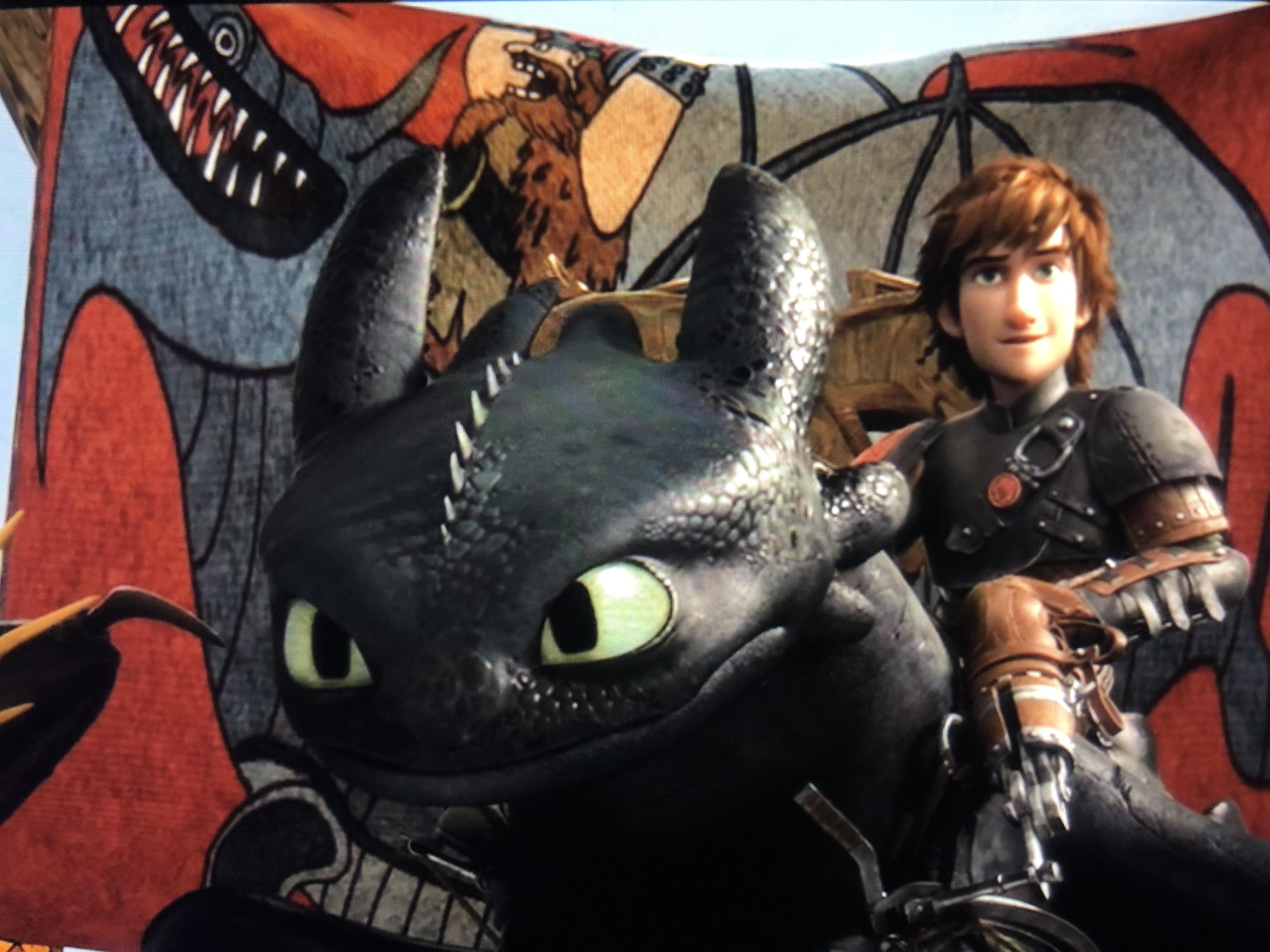 How To Train Your Dragon 31 Hidden Trivia Facts and Easter Eggs