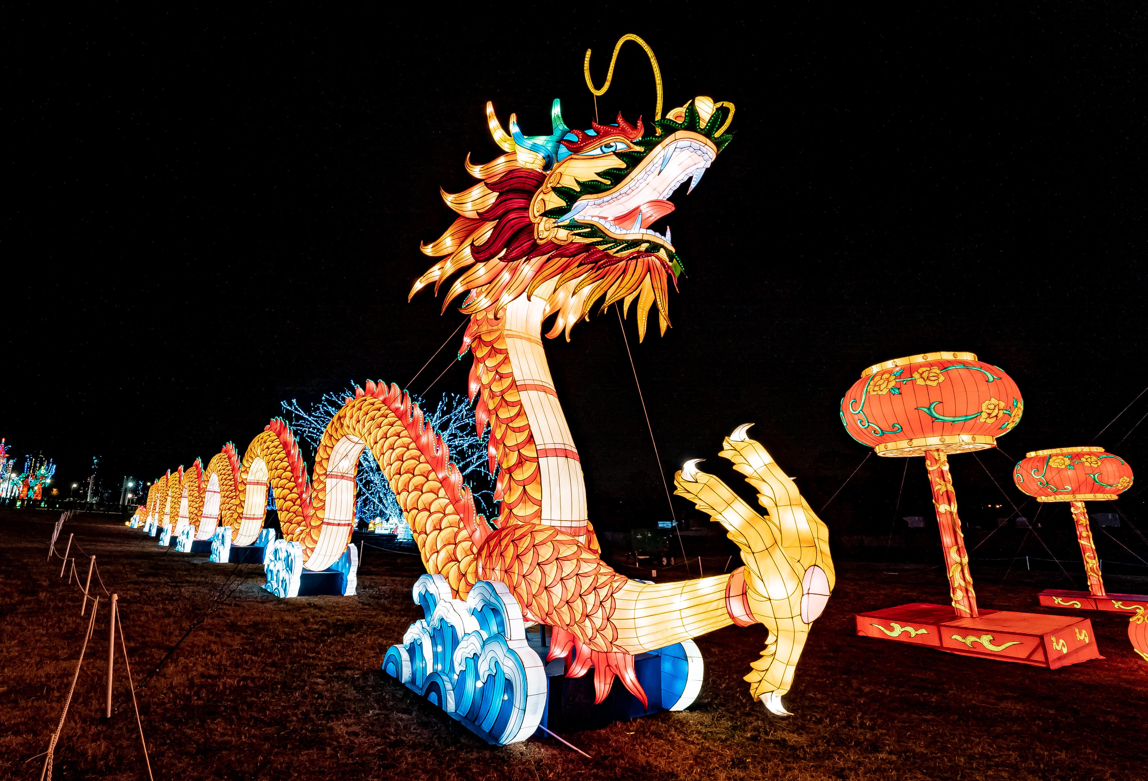 Lights Festival at the Nashville Zoo. First time testing the new lens