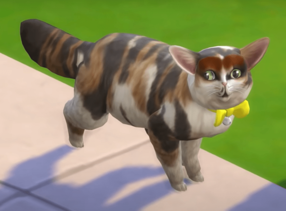 97 best r/graystillplays_fans images on Pholder I painted spleens