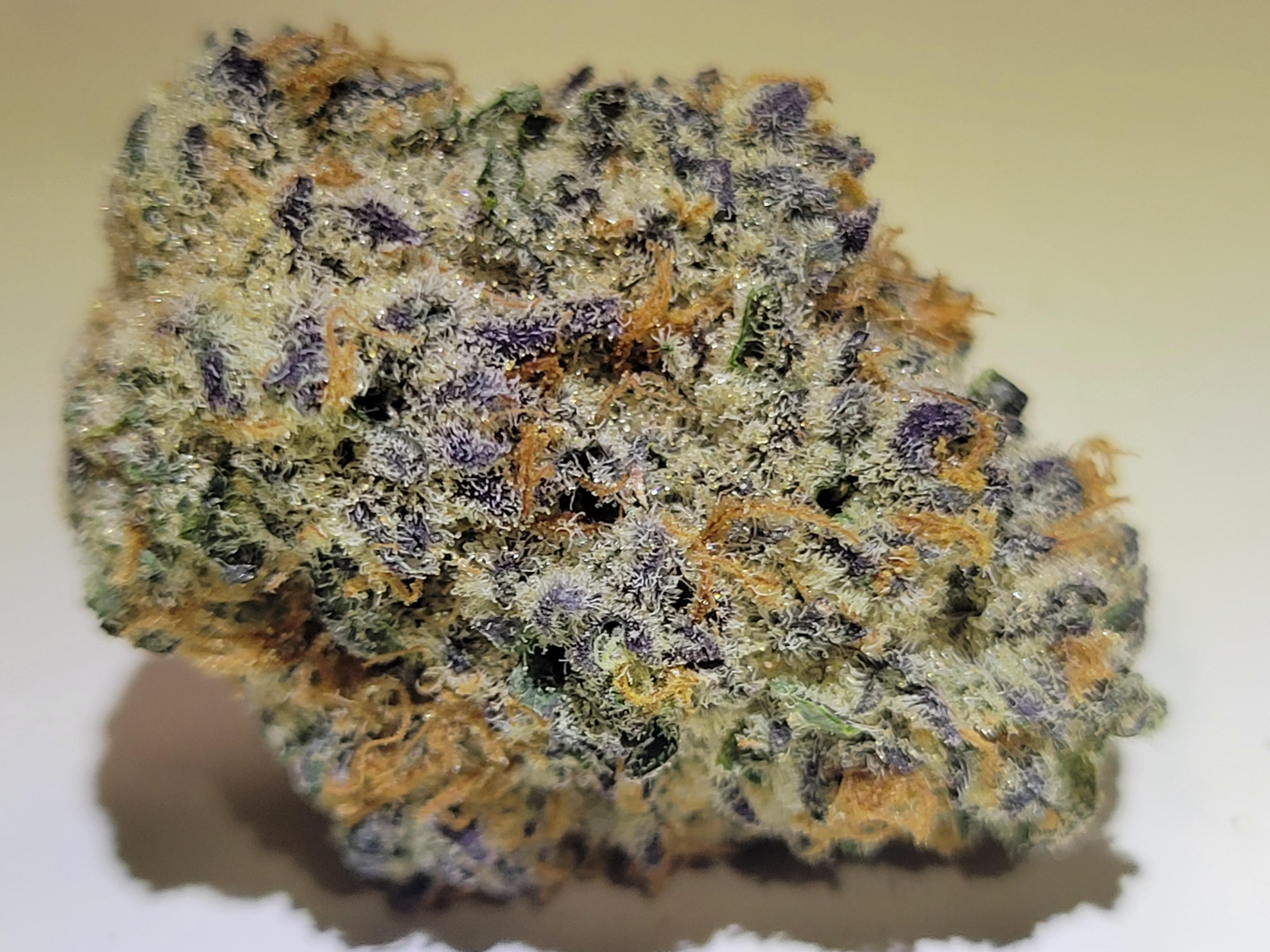 Landslide (Lava Cake x Fleetwood Mac) grown by Butter. Acquired at Butter in Ann Arbor. r