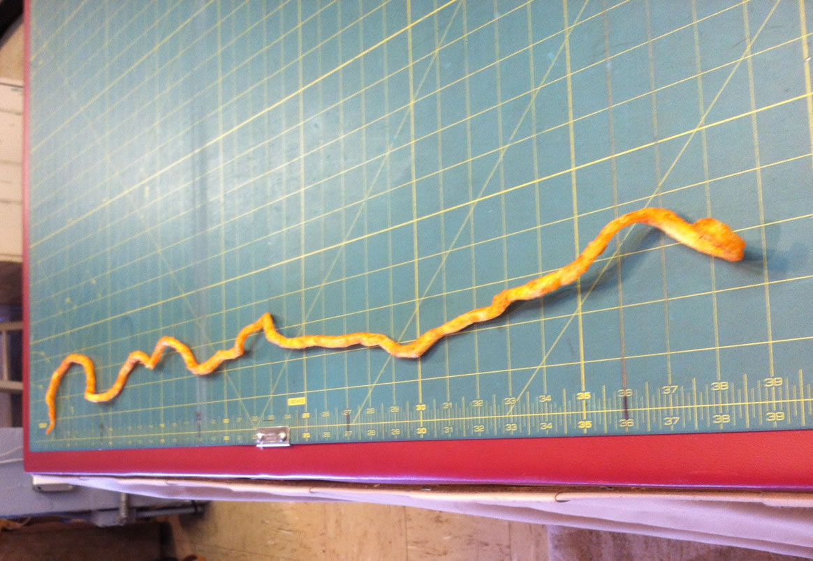 The world's longest curly fry is 38 inches long. r/mildlyinteresting